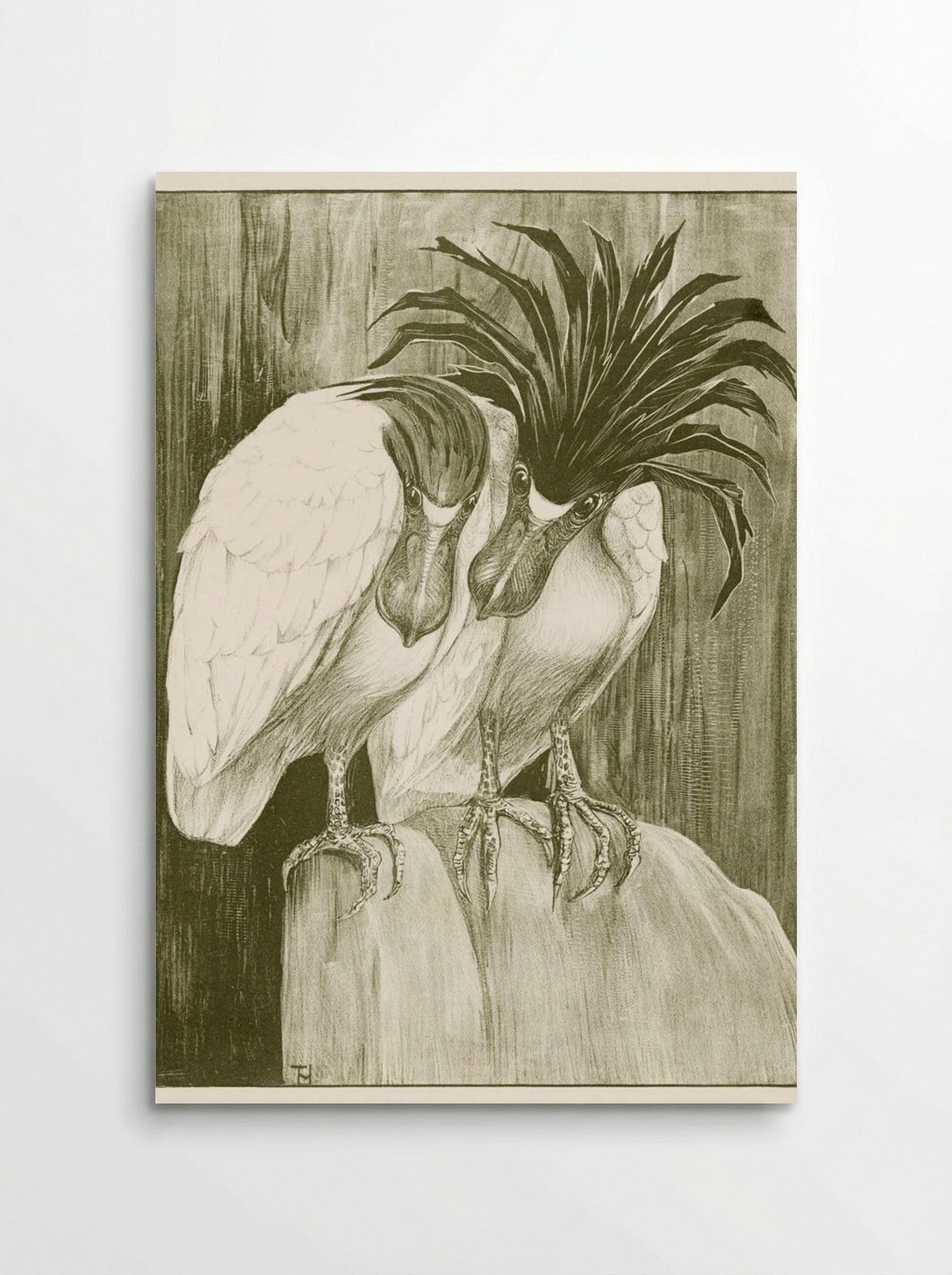 Two Boat-billed Herons - Theo van Hoytema - Poster