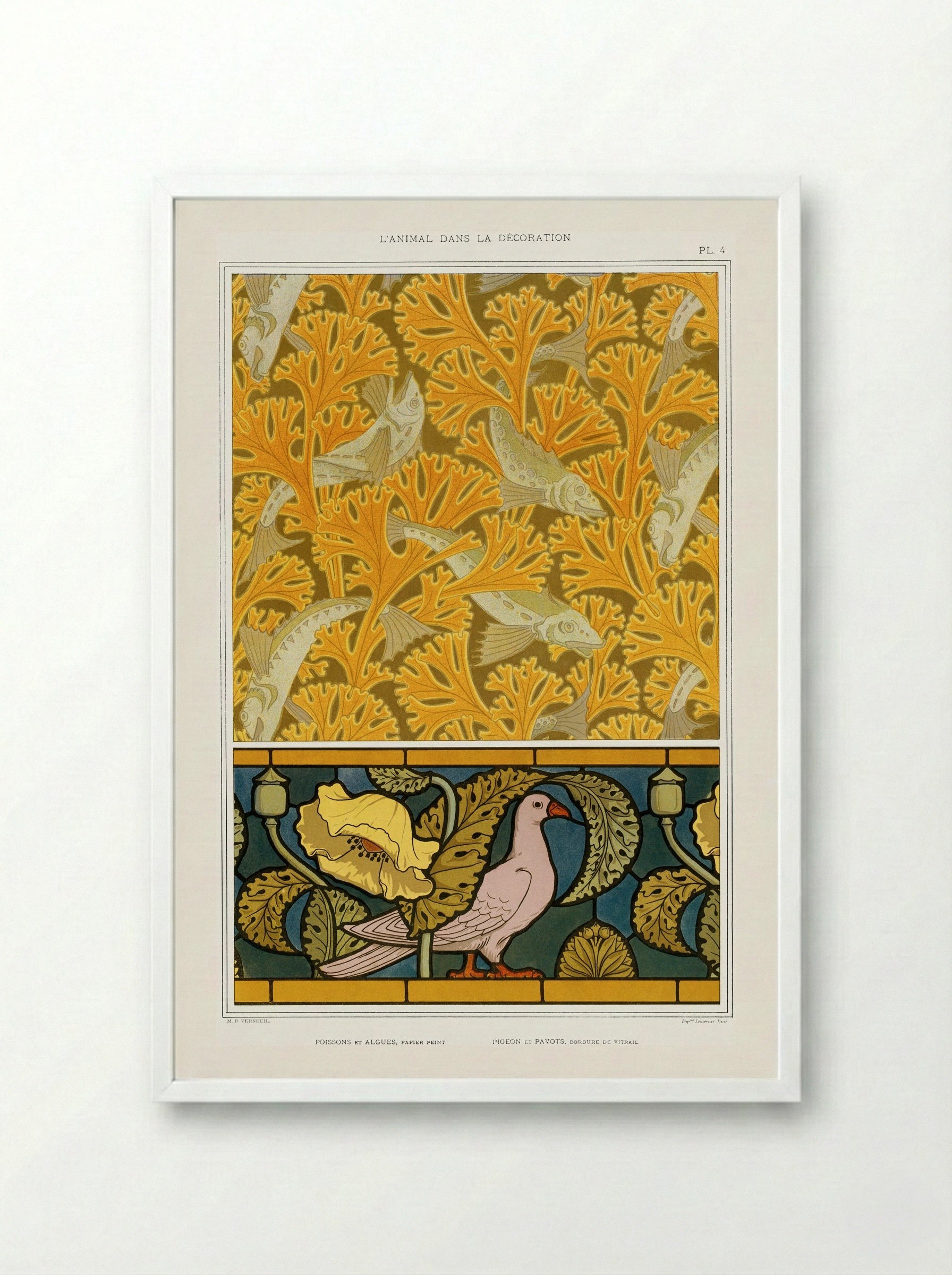 Poisson et Algues, Papier Peint / Pigeon et Pavots, Bordure de Vitrail - Maurice Pillard Verneuil - Framed Print White