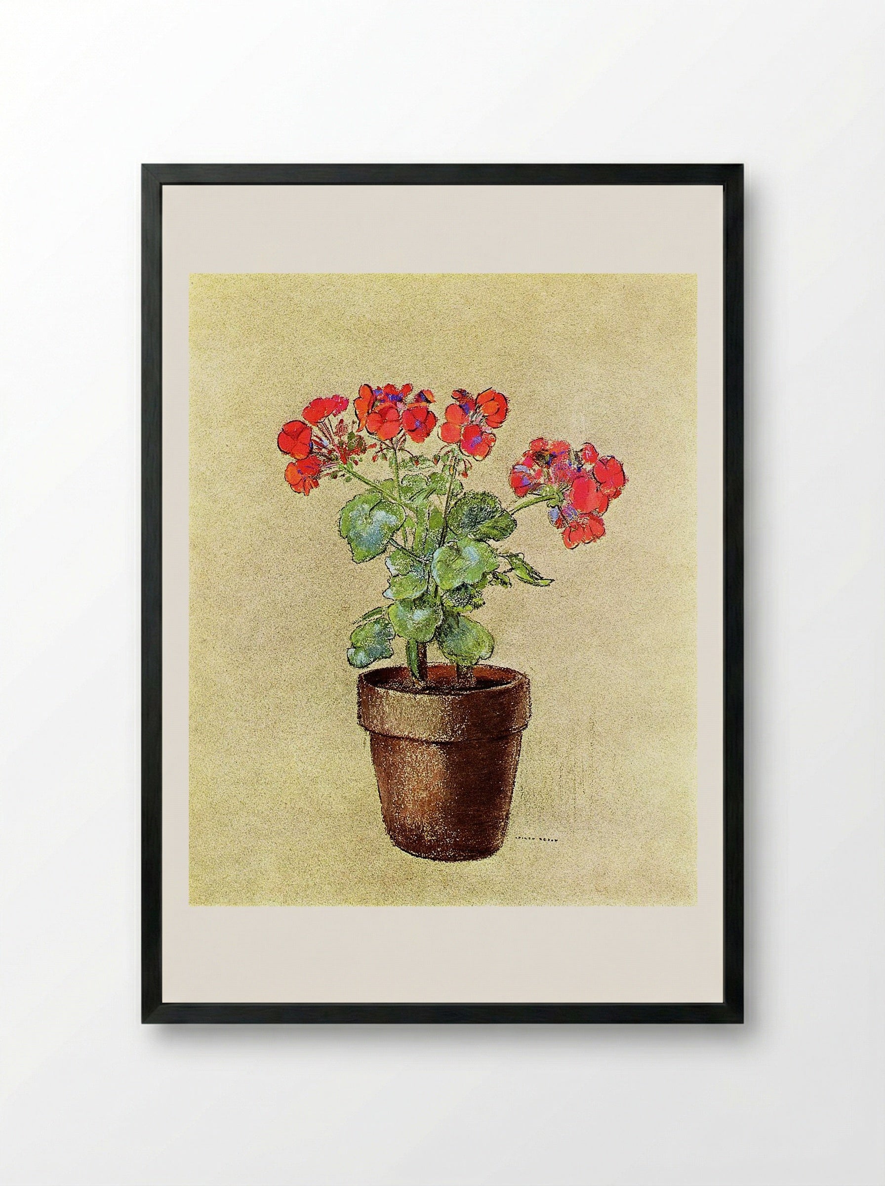 Geraniums - Fritz Reiss - Framed Print Black