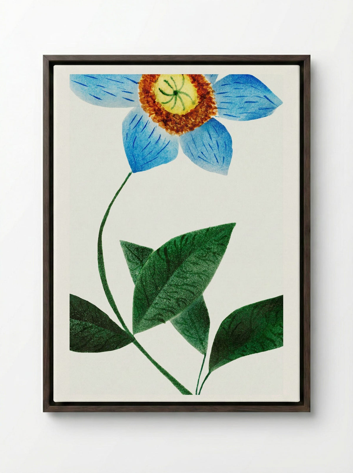 Star Flower - Mary Altha Nims - Framed Canvas Dark Wood