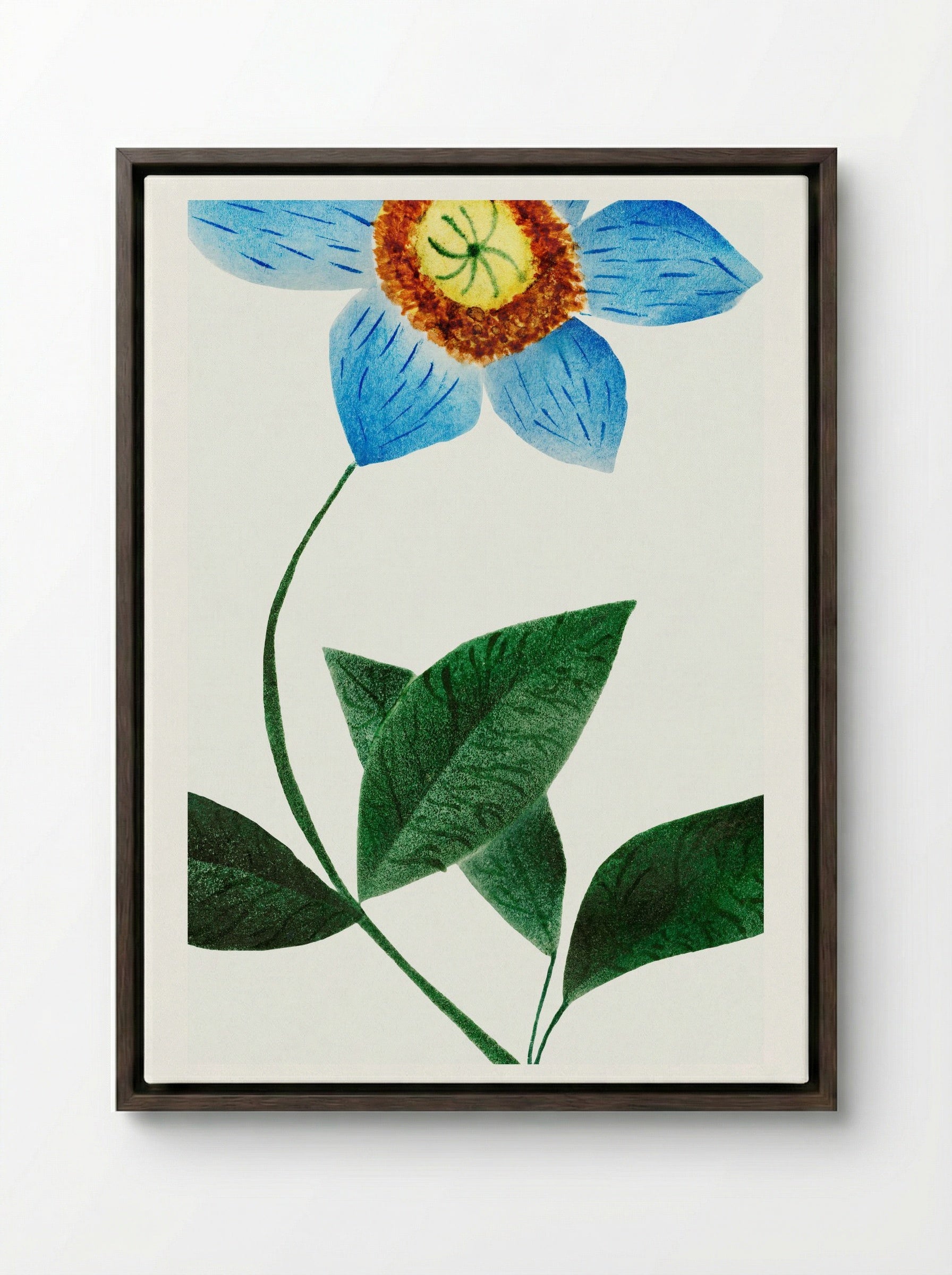 Star Flower - Mary Altha Nims - Framed Canvas Dark Wood
