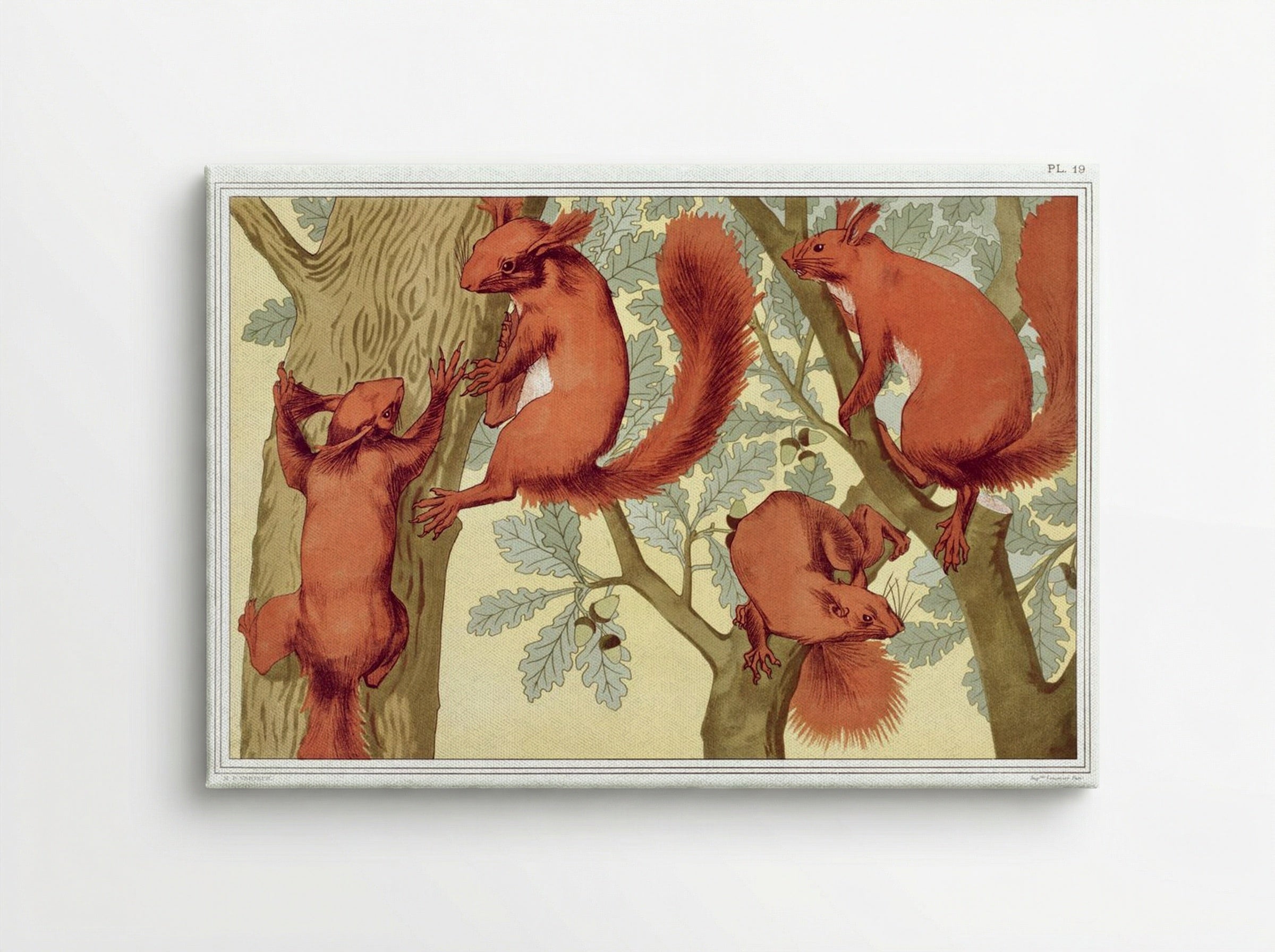 Écureuils (Squirrels) from L'animal dans la décoration - Maurice Pillard Verneuil - Canvas