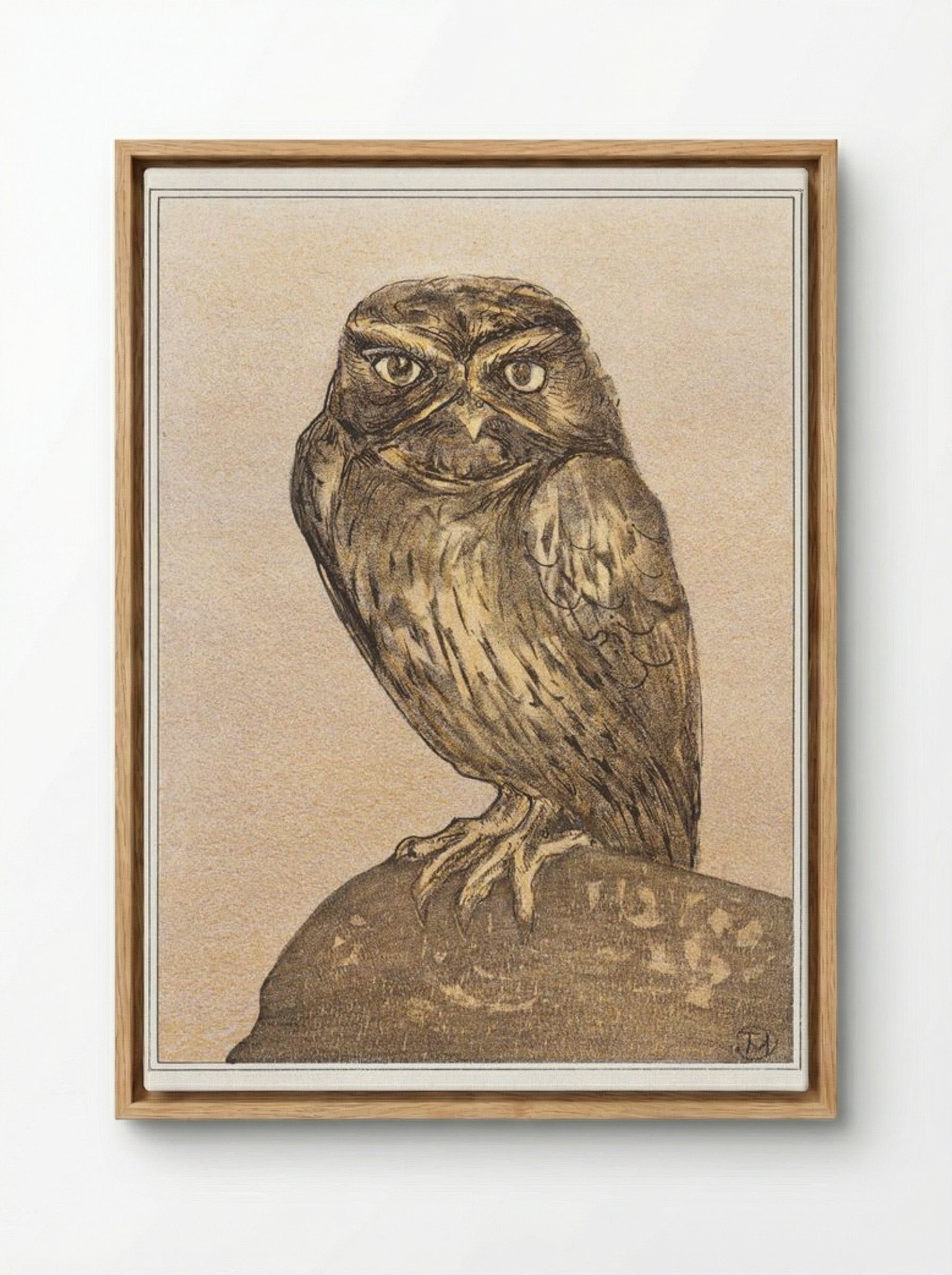 Little Owl on a Rock - Theo van Hoytema - Framed Canvas Wood