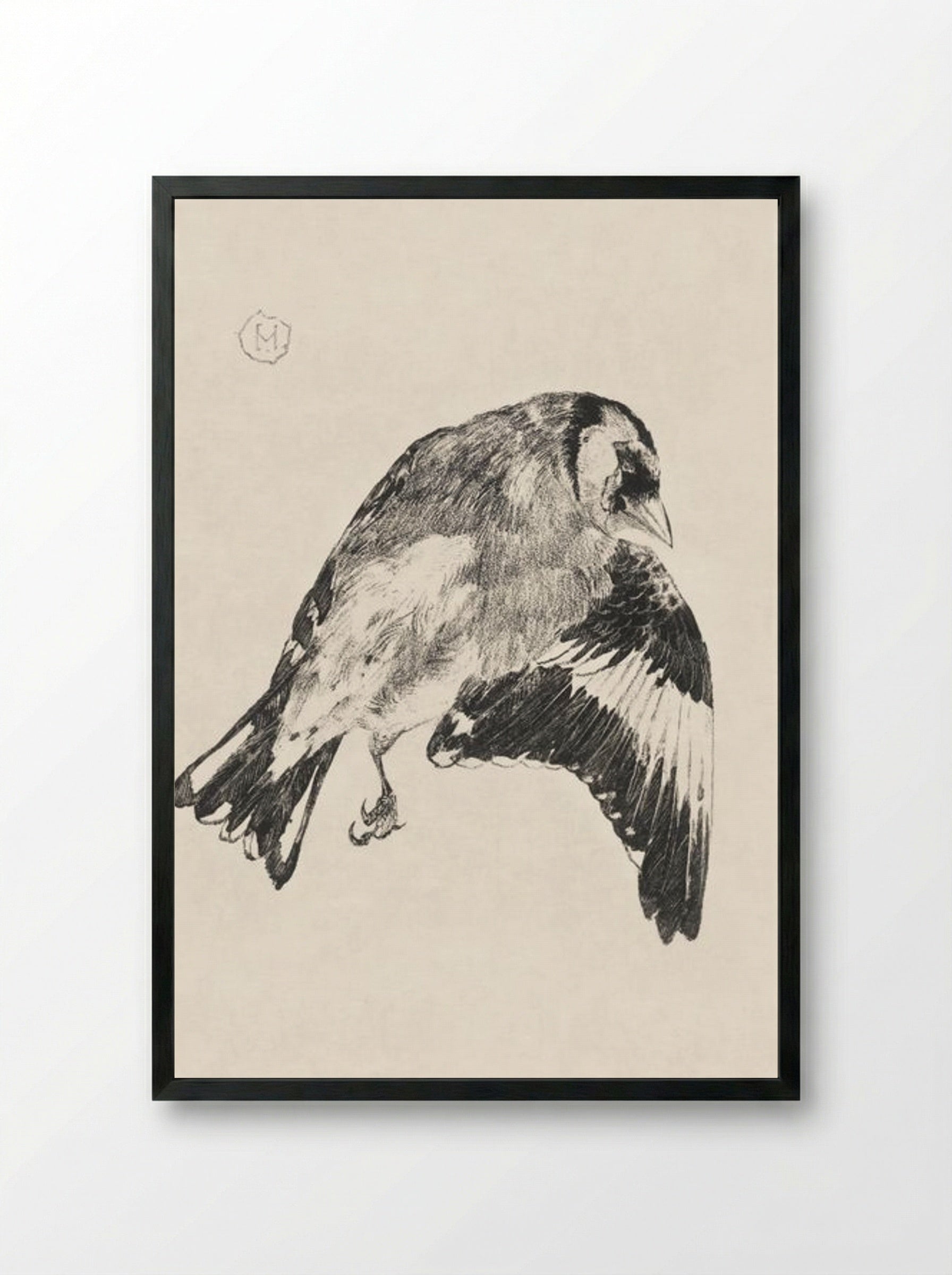 Goldfinch (Study of a Bird in Flight) - Theo van Hoytema - Framed Print Black