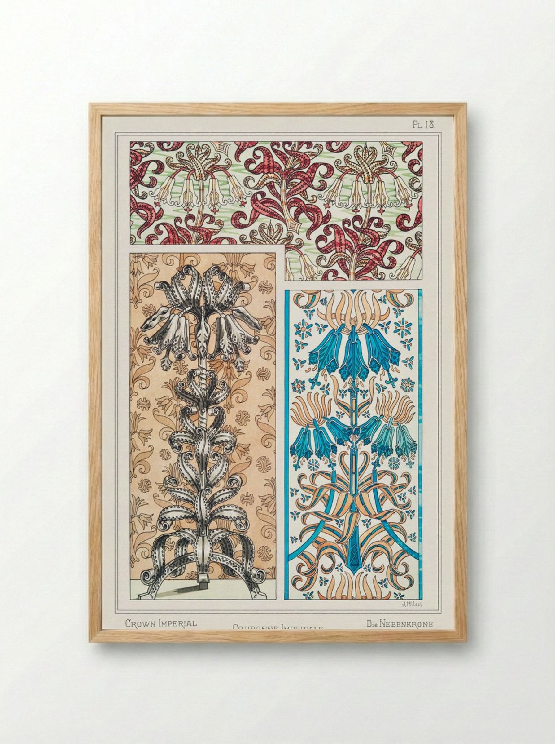 Couronne Impériale (Crown Imperial) from La Plante et ses Applications ornementales - Maurice Pillard Verneuil - Framed Print Wood