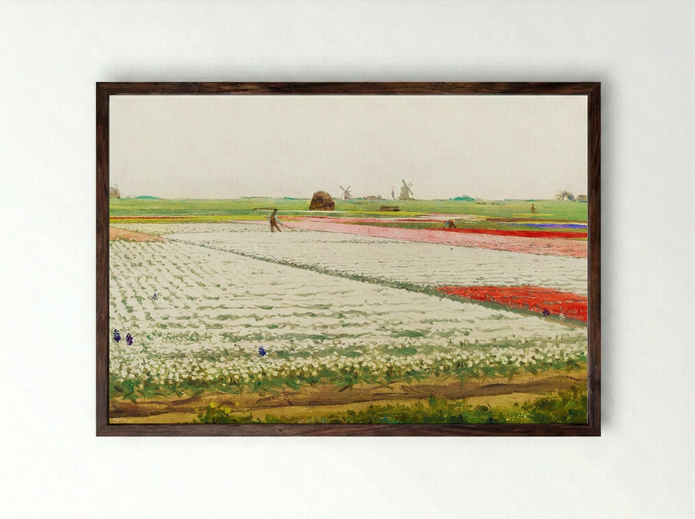 Tulip Fields - Gerrit Willem Dijsselhof - Framed Print Dark Wood