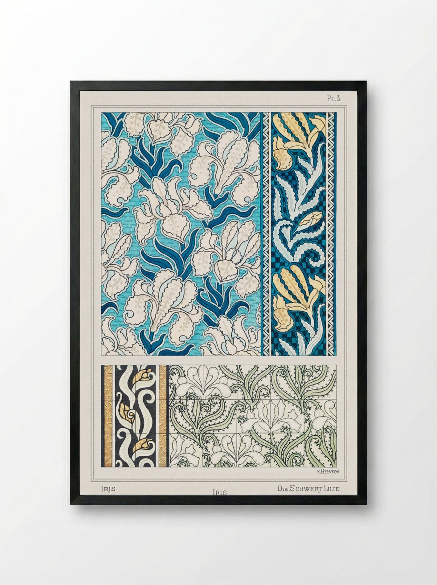 Iris, from La Plante et ses Applications ornementales - Maurice Pillard Verneuil - Framed Print Black