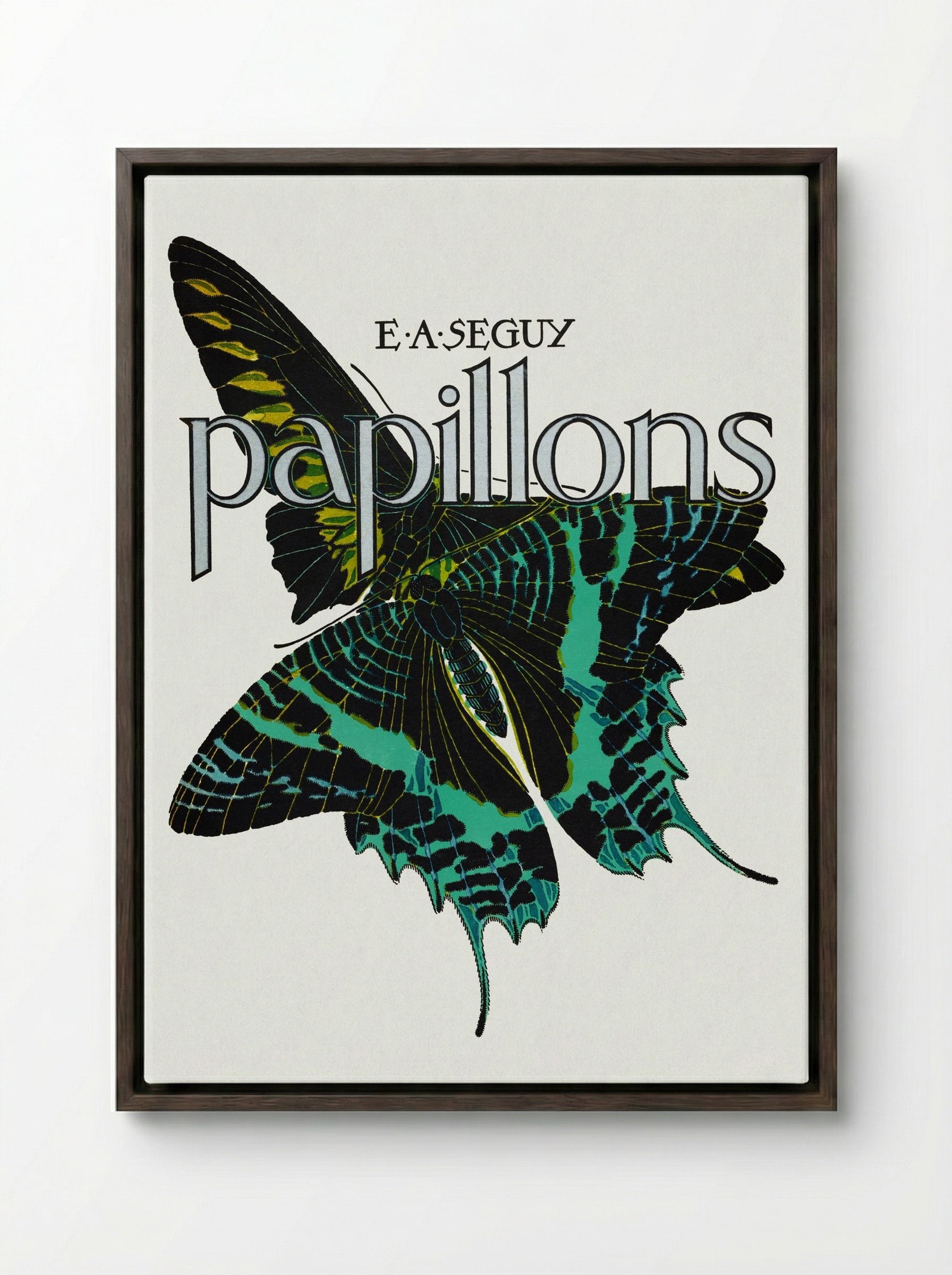 Papillons, Plate No. 1 (Teal and Black Butterfly) - Émile-Allain Séguy - Framed Canvas Dark Wood