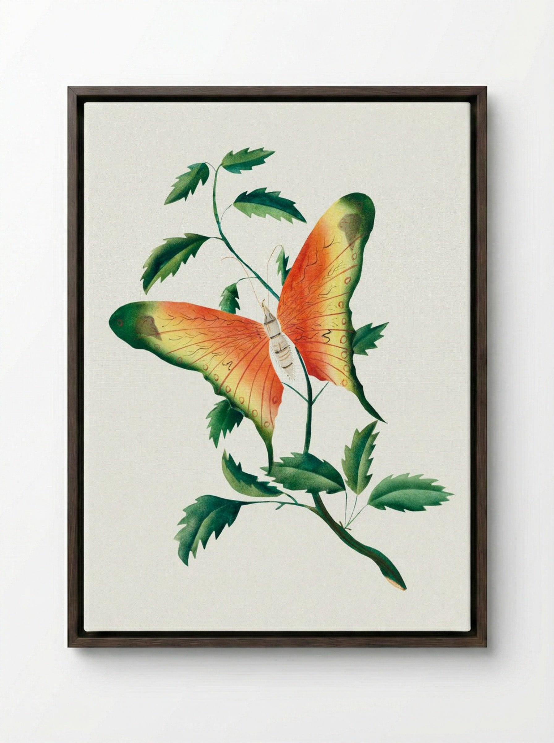 Rose Bush and Butterfly - Mary Altha Nims - Framed Canvas Dark Wood