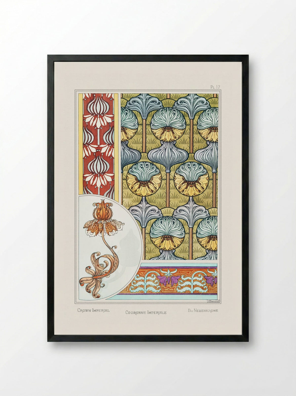 Couronne Impériale (Crown Imperial) from La Plante et ses Applications ornementales - Maurice Pillard Verneuil - Framed Print Black