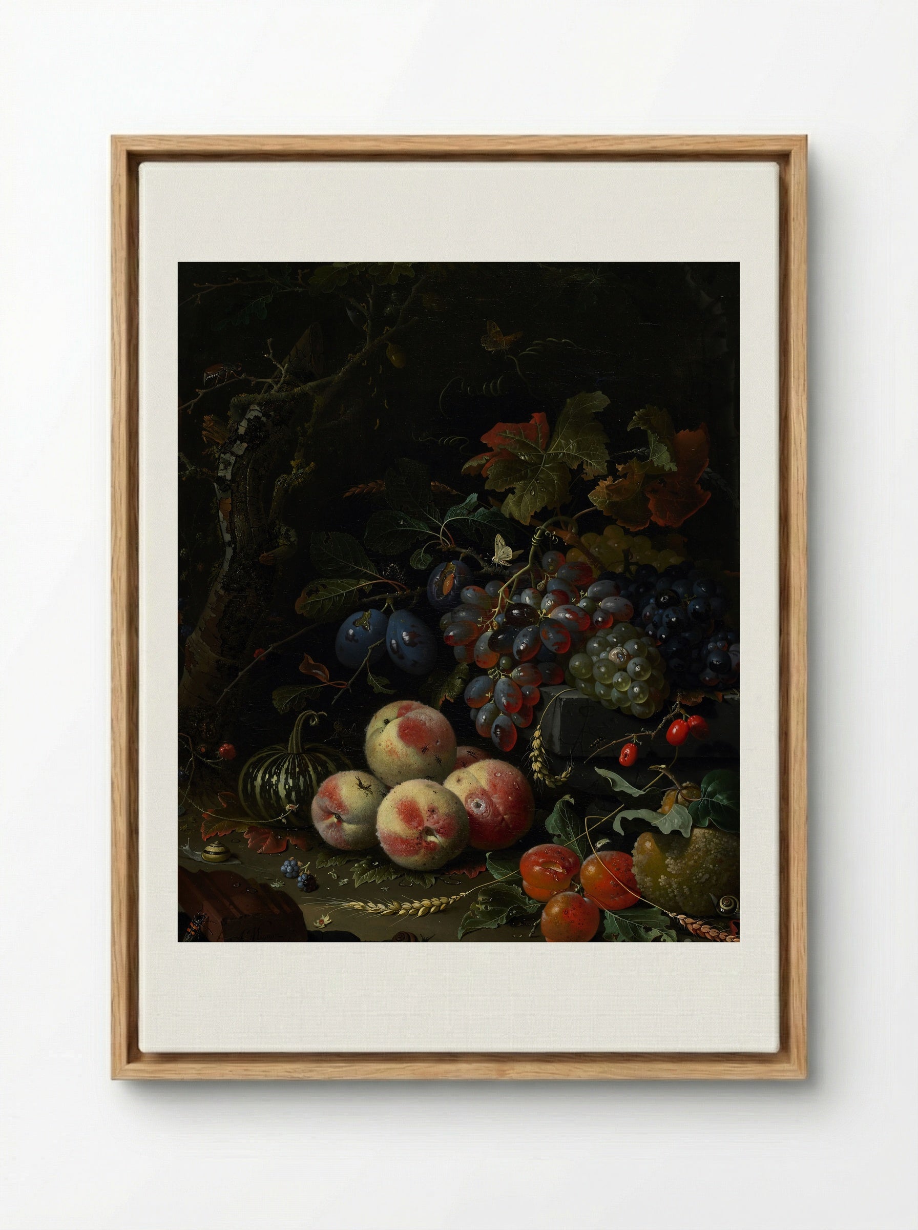 Still Life with Fruit, Foliage, and Insects - Abraham Mignon - Framed Canvas Wood