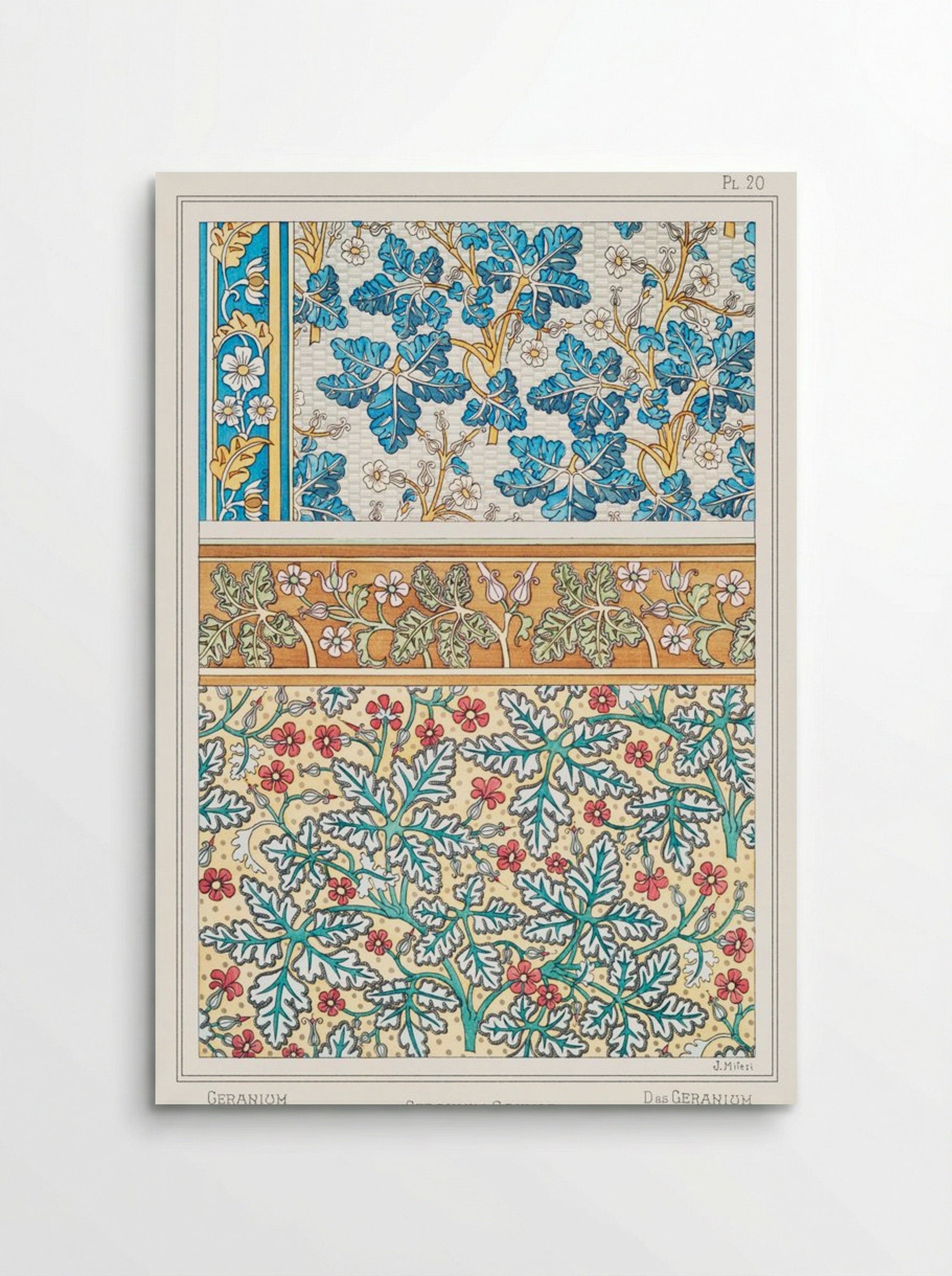 Geranium sauvage (Geranium, Plate 20) - Maurice Pillard Verneuil - Poster