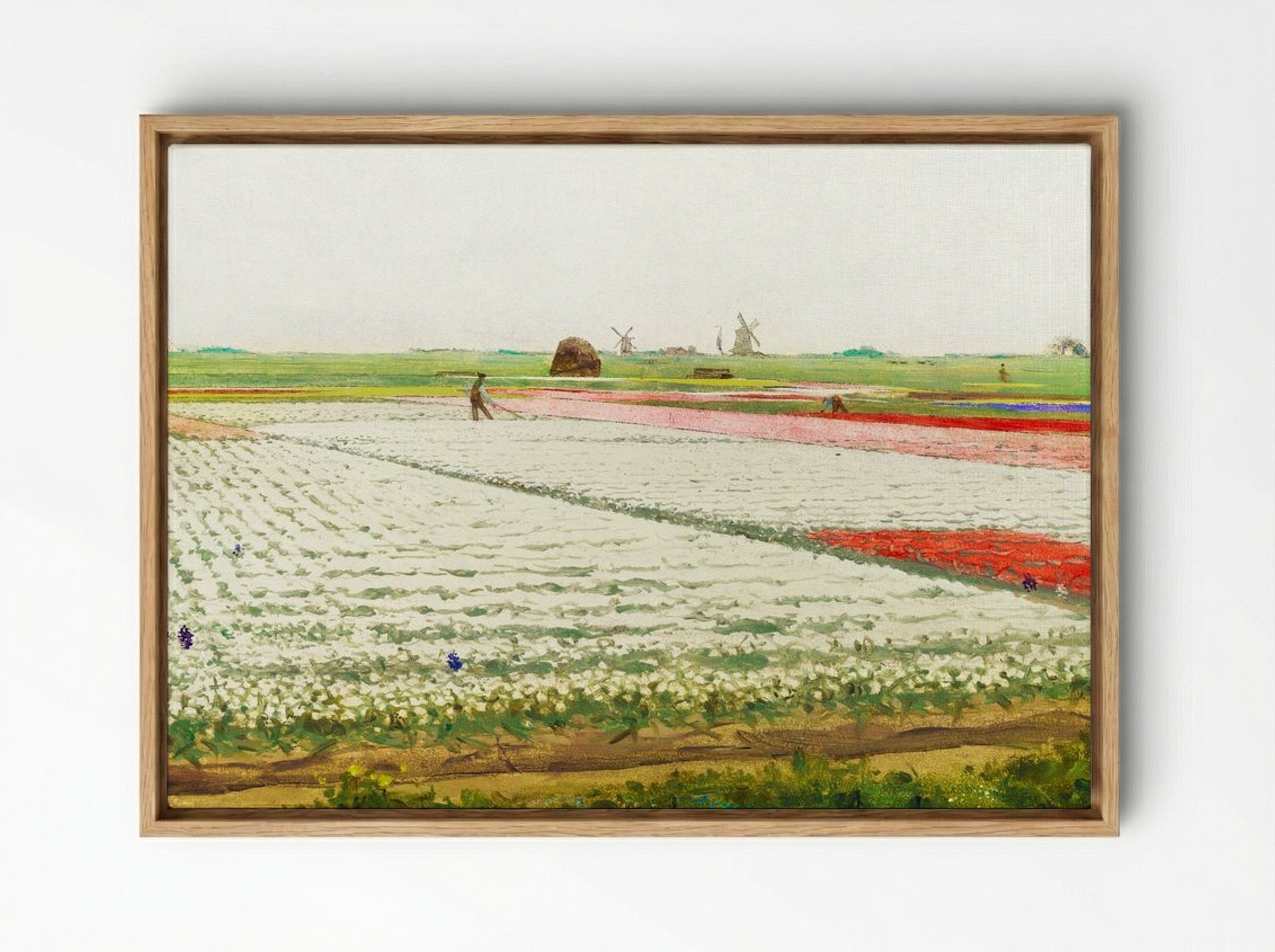 Tulip Fields - Gerrit Willem Dijsselhof - Framed Canvas Wood