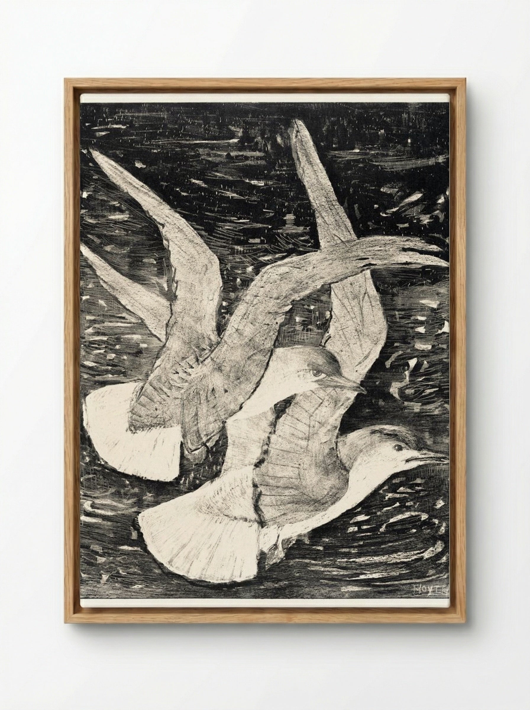 Two Flying Gulls - Theo van Hoytema - Framed Canvas Wood