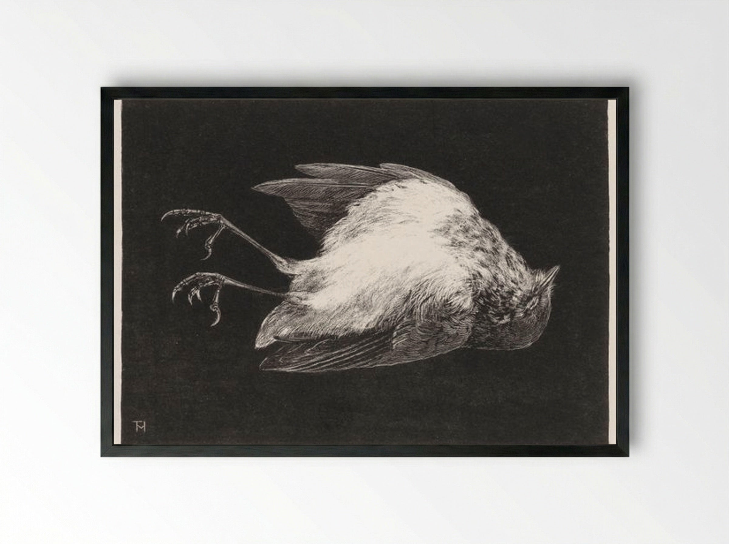 Dood Roodborstje (Dead Robin) - Theo van Hoytema - Framed Print Black
