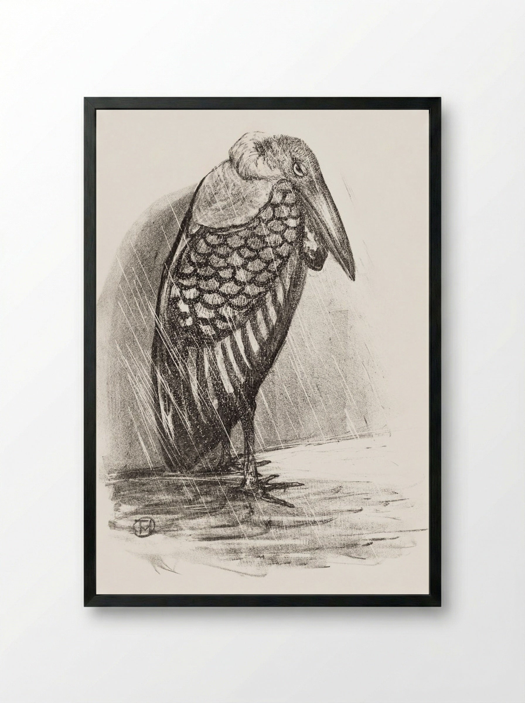 Marabou in the Rain - Theo van Hoytema - Framed Print Black