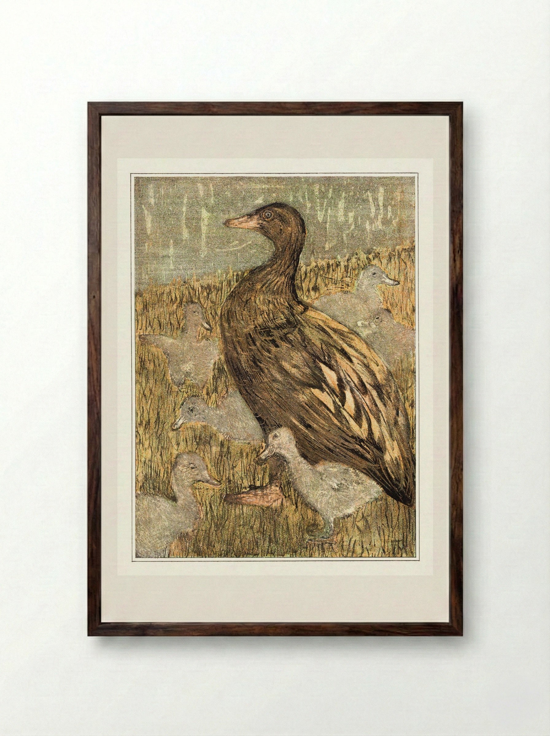 Duck with Ducklings by the Waterside - Theo van Hoytema - Framed Print Dark Wood