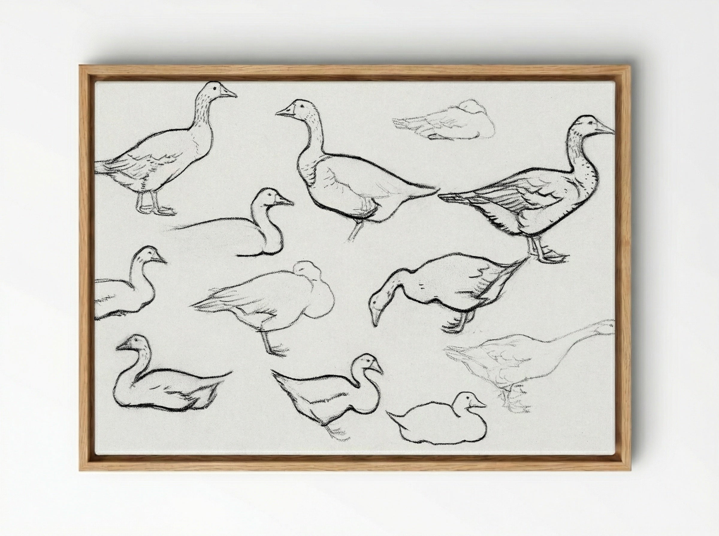 Study of Geese - Julie de Graag - Framed Canvas Wood