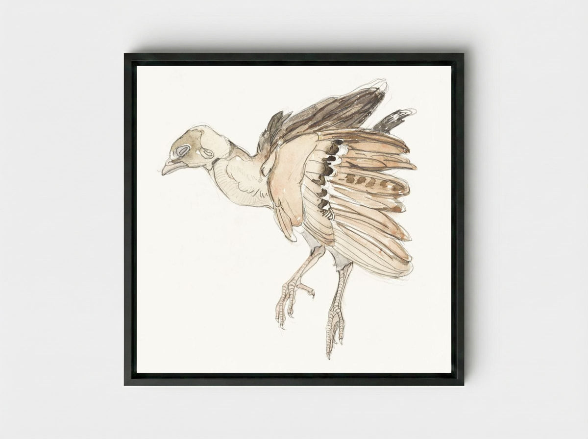 Dood vogeltje (Patrijs) - Theo van Hoytema - Framed Canvas Black
