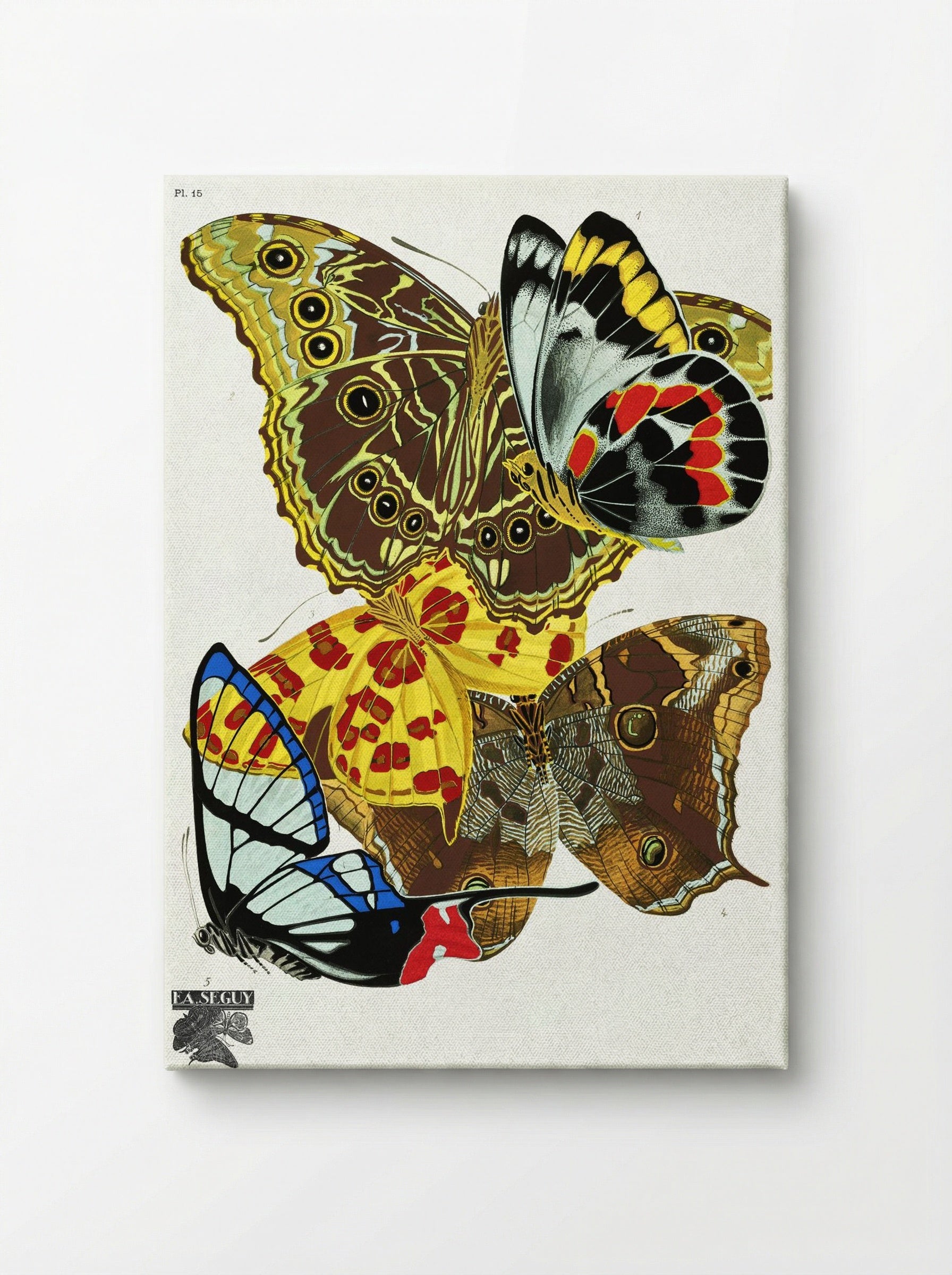 Butterflies (Plate 15) - Émile-Allain Séguy - Canvas