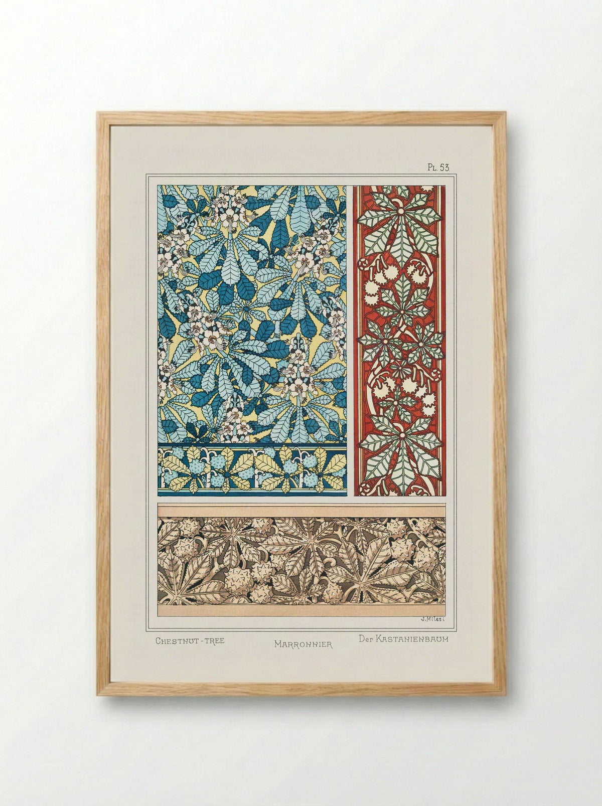 Marronnier (Chestnut Tree) from La Plante et ses Applications ornementales - Maurice Pillard Verneuil - Framed Print Wood