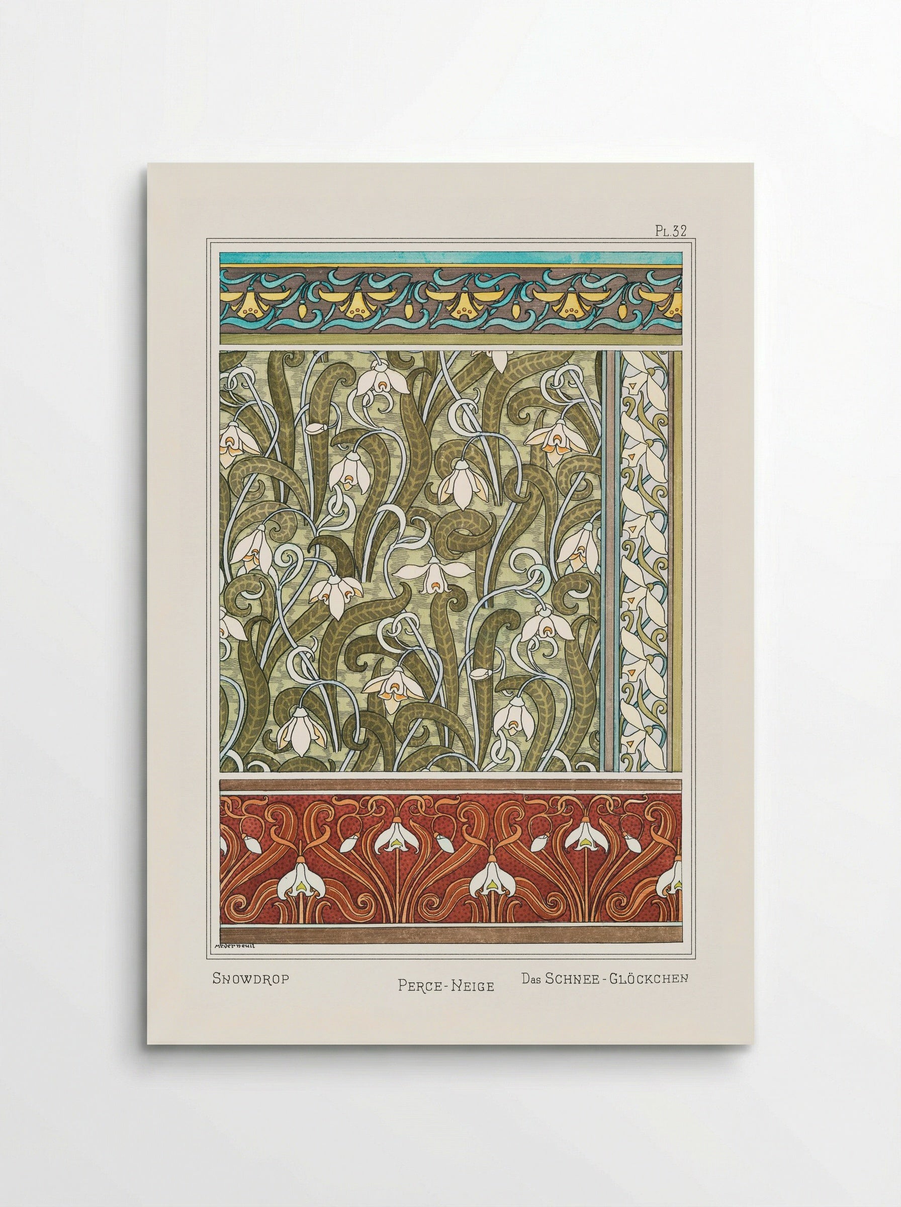 Perce-neige (Snowdrops) from La Plante et ses Applications ornementales - Maurice Pillard Verneuil - Poster