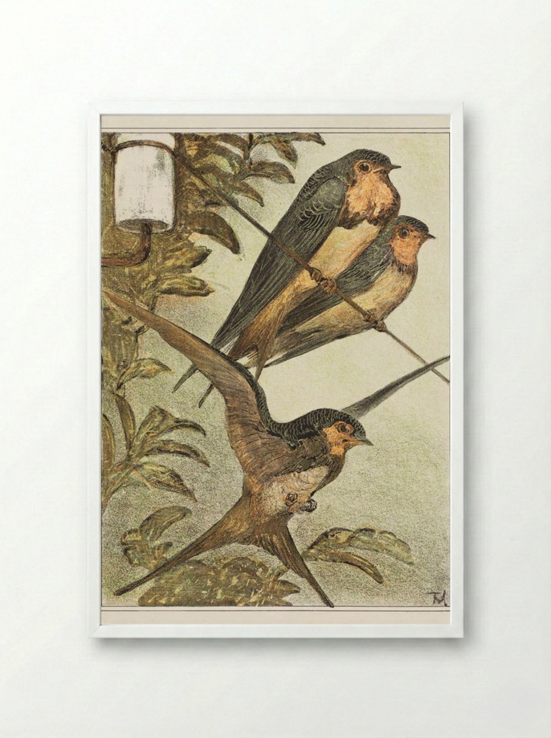 Drie zwaluwen (Three Swallows) - Theo van Hoytema - Framed Print White