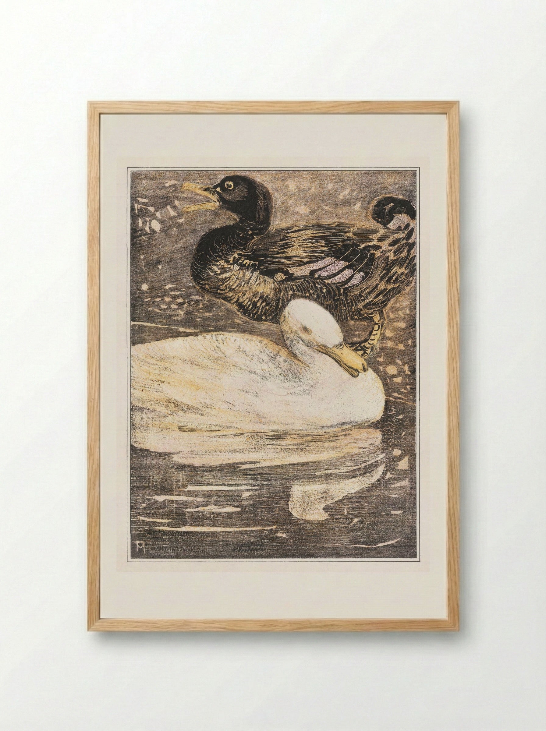 Two Ducks - Theo van Hoytema - Framed Print Wood
