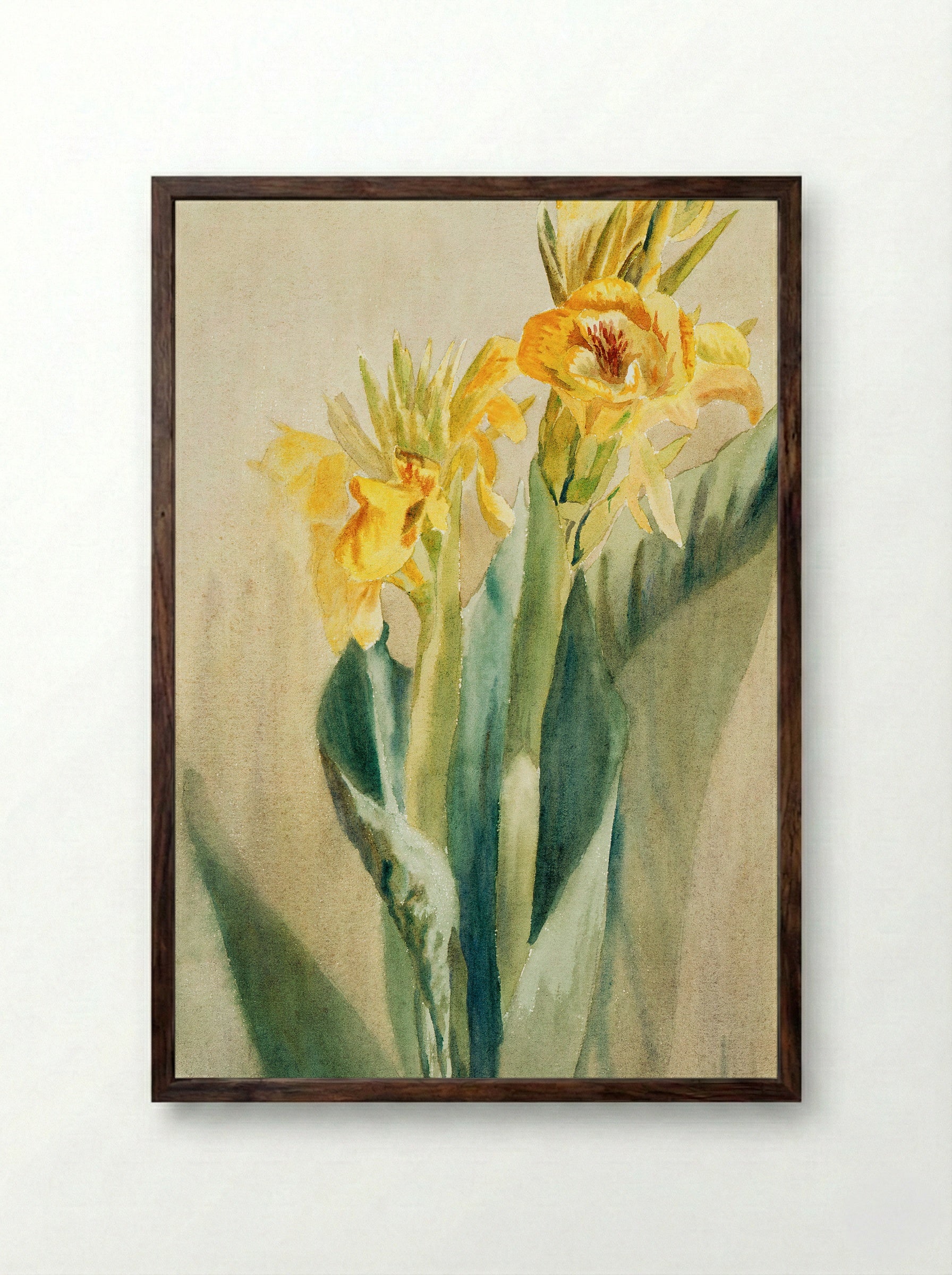 Cana (1915) - Hannah Borger Overbeck - Framed Print Dark Wood