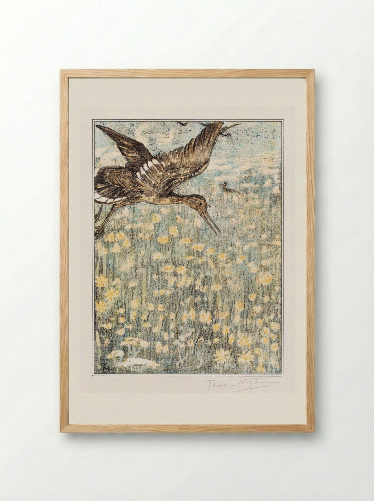 Tureluur (Redshank) - Theo van Hoytema - Framed Print Wood