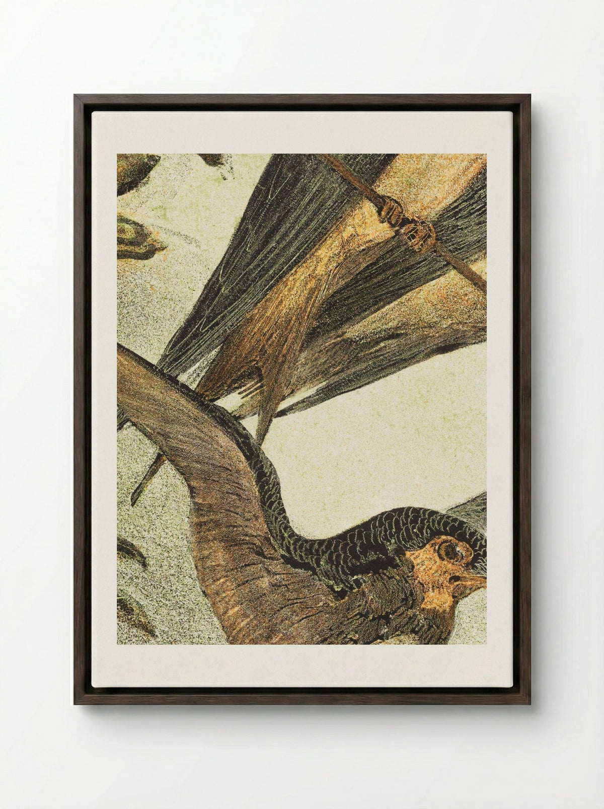 Drie zwaluwen (Three Swallows) - Theo van Hoytema - Framed Canvas Dark Wood