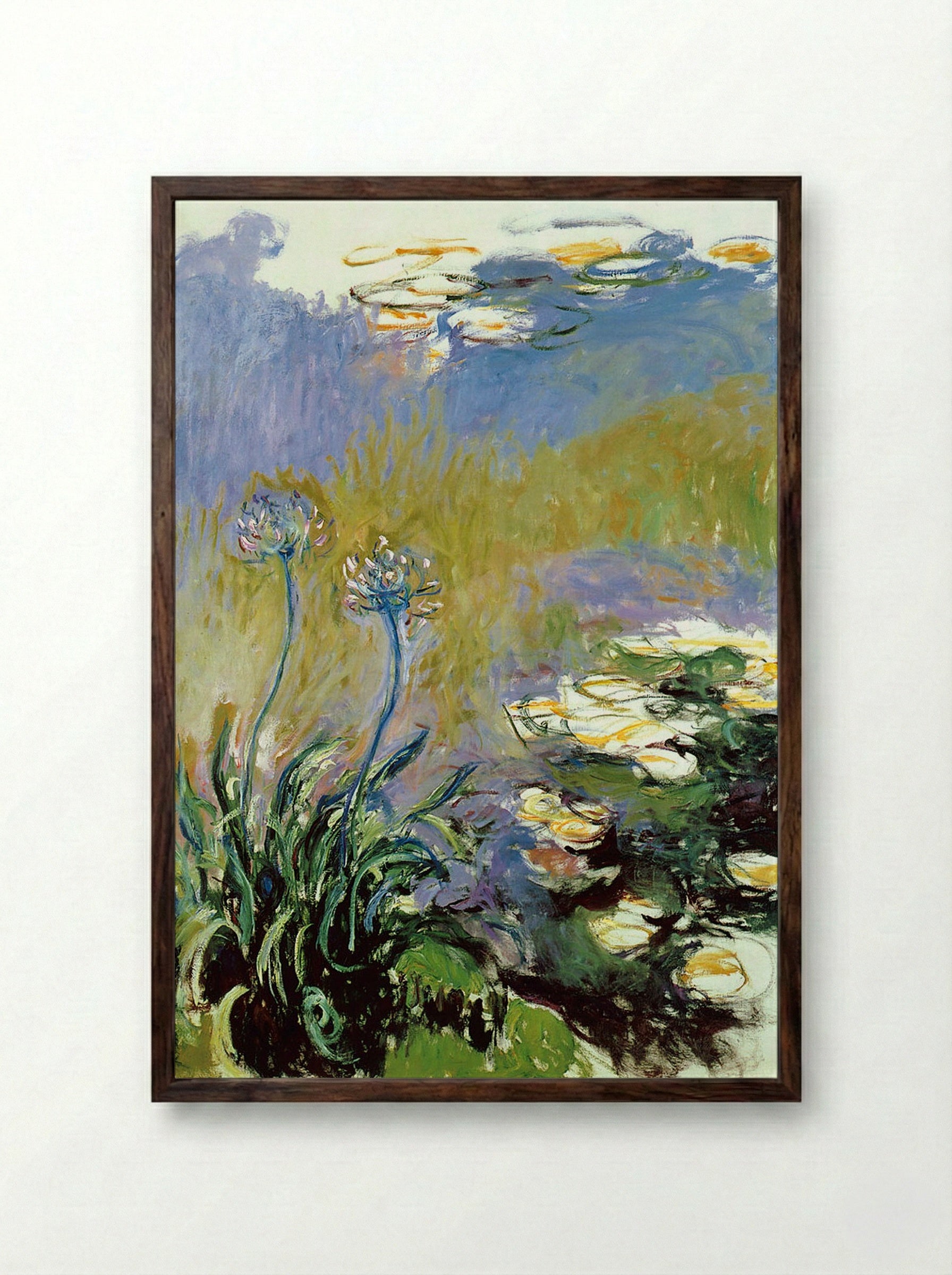 Agapanthus - Claude Monet - Framed Print Dark Wood