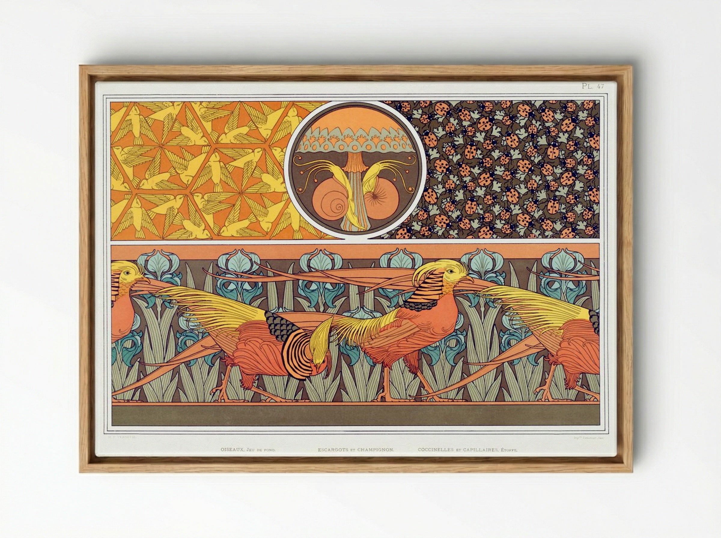 L'Animal dans la Décoration, Plate 47 - Fine Art Print - Framed Canvas Wood