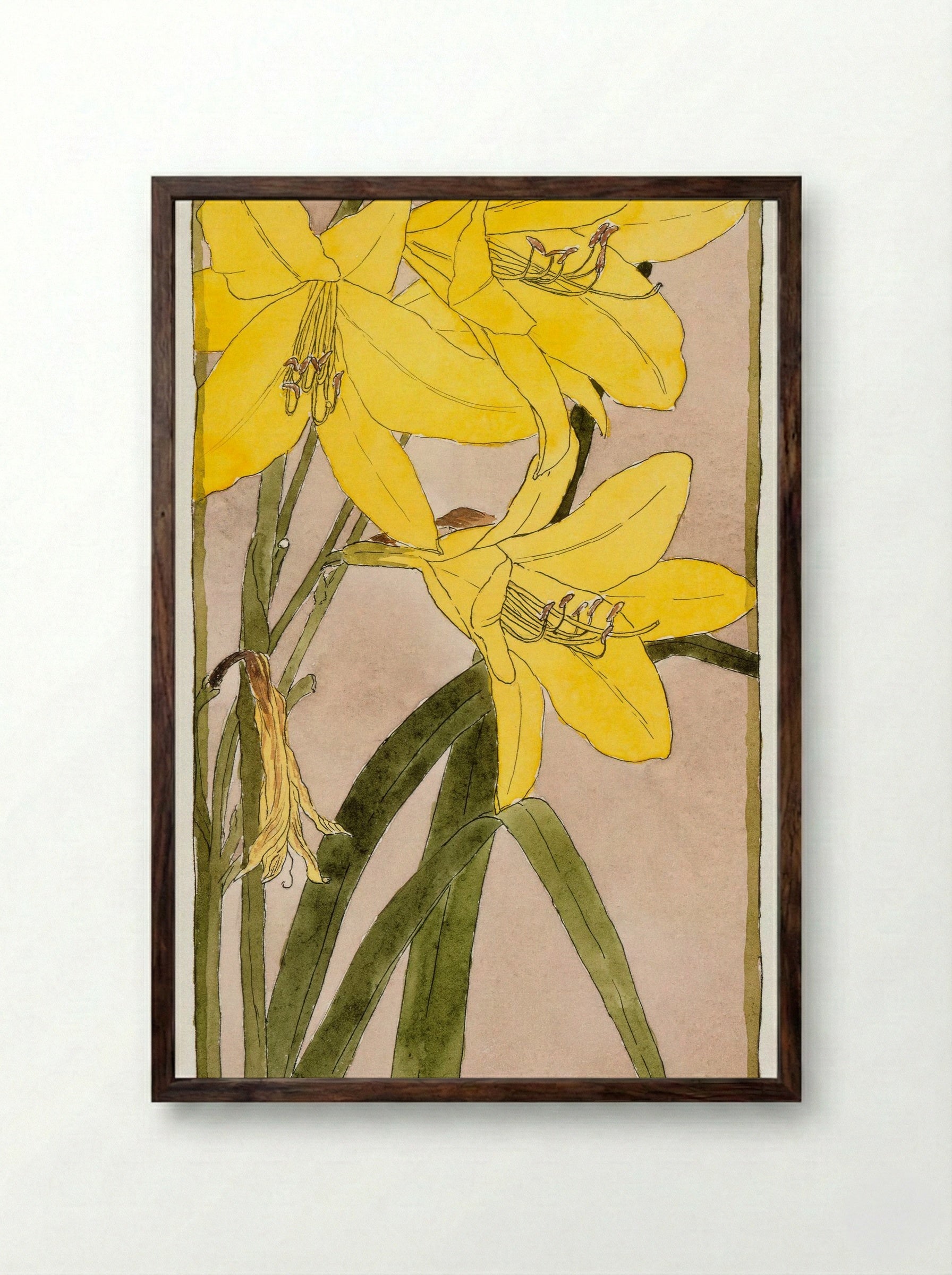 Yellow Daylily (1915) - Hannah Borger Overbeck - Framed Print Dark Wood