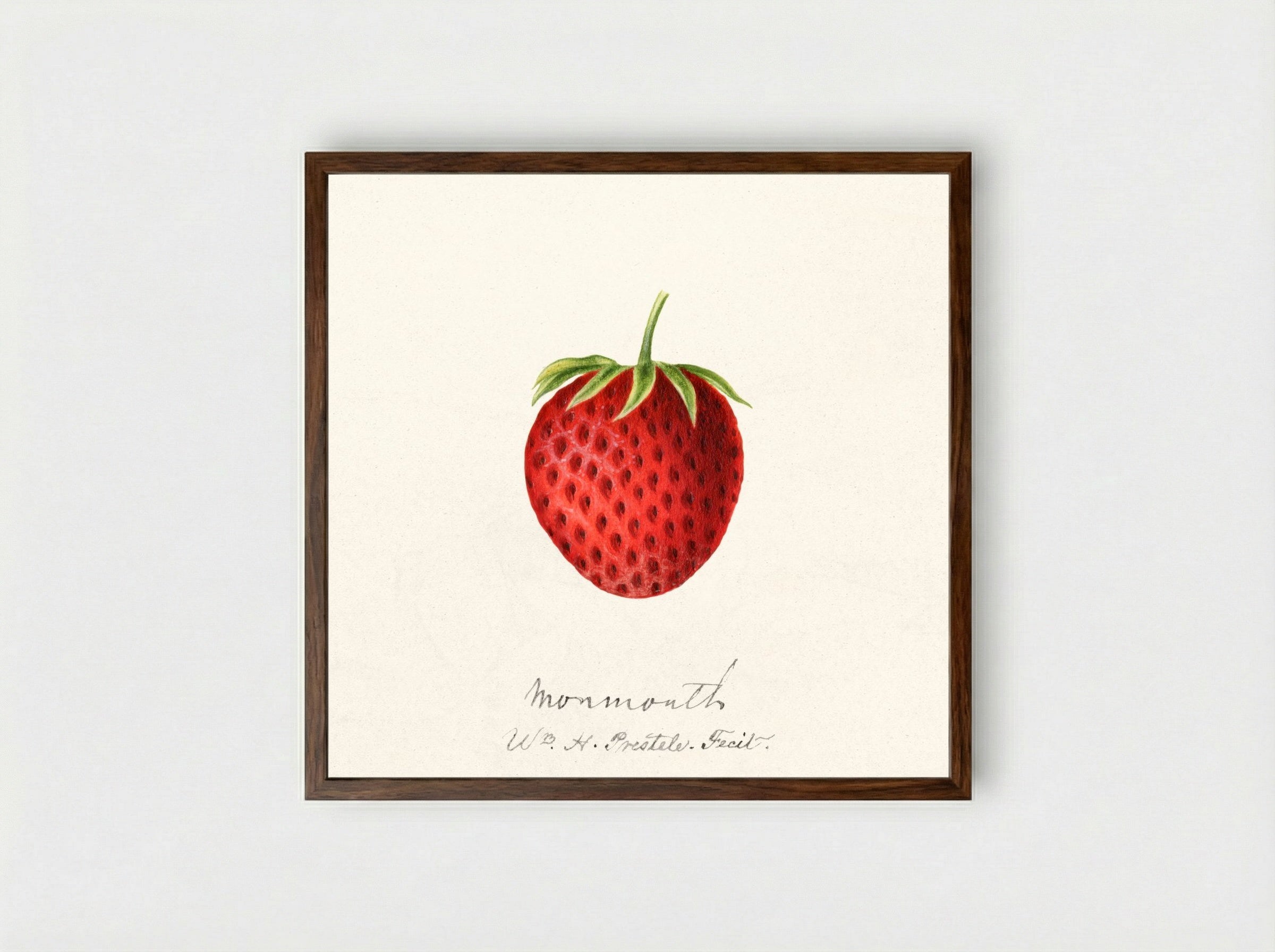 Strawberry (1891) - William Henry Prestele - Framed Print Dark Wood
