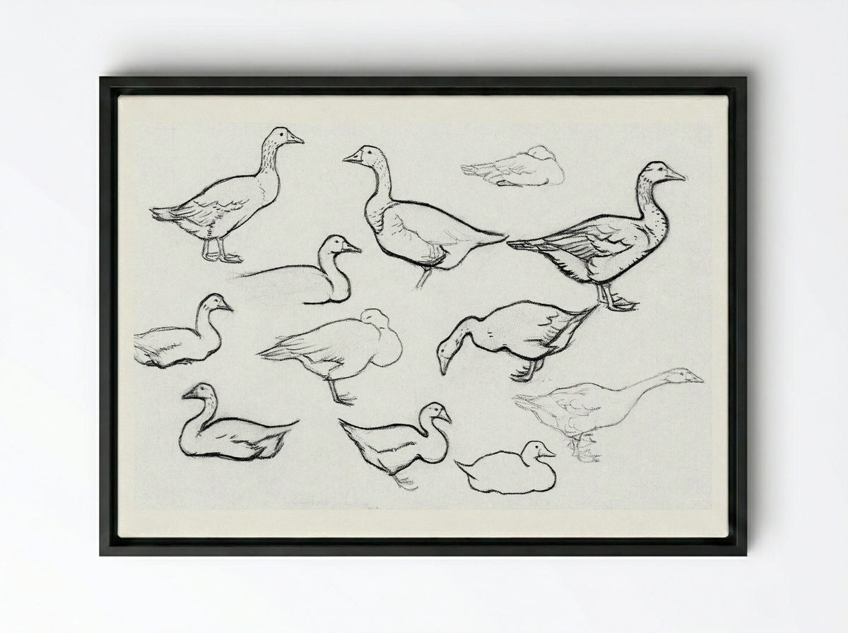 Study of Geese - Julie de Graag - Framed Canvas Black