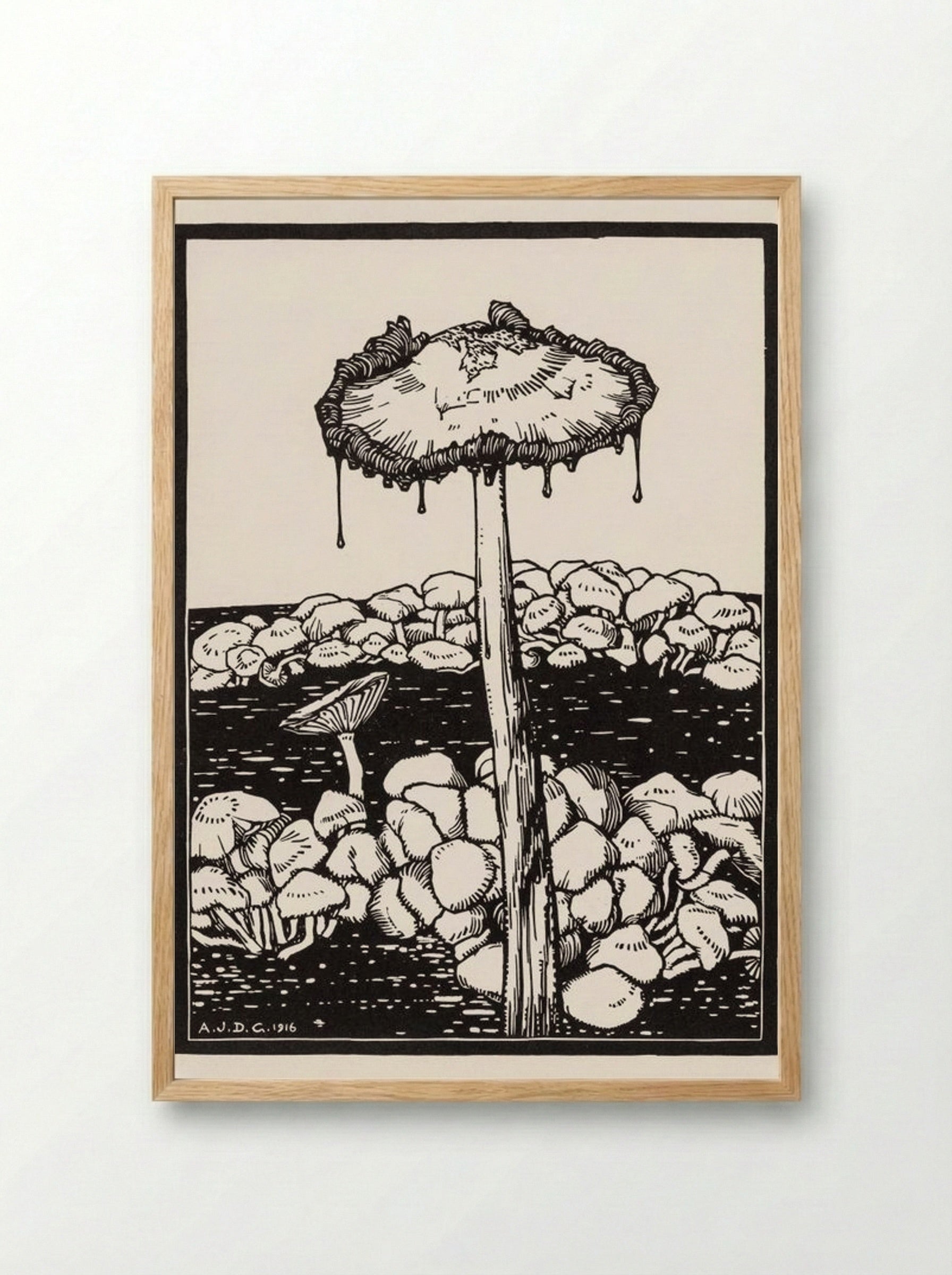 Dripping Mushroom - Julie de Graag - Framed Print Wood