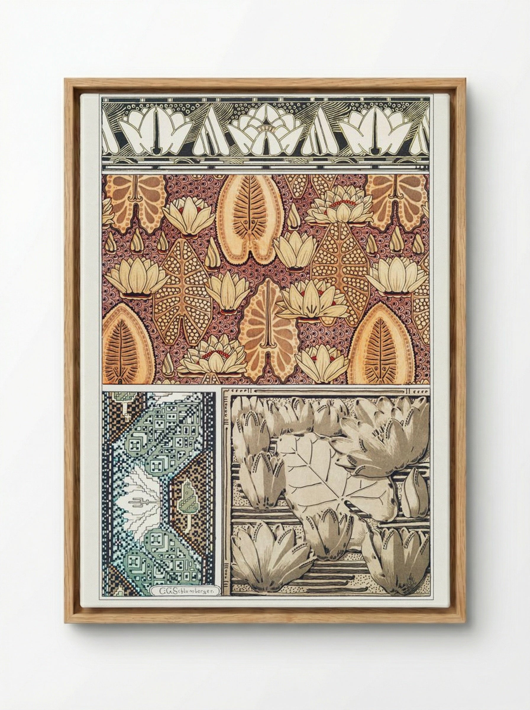 Nénuphar (Water Lilies) from La Plante et ses Applications ornementales - Maurice Pillard Verneuil - Framed Canvas Wood