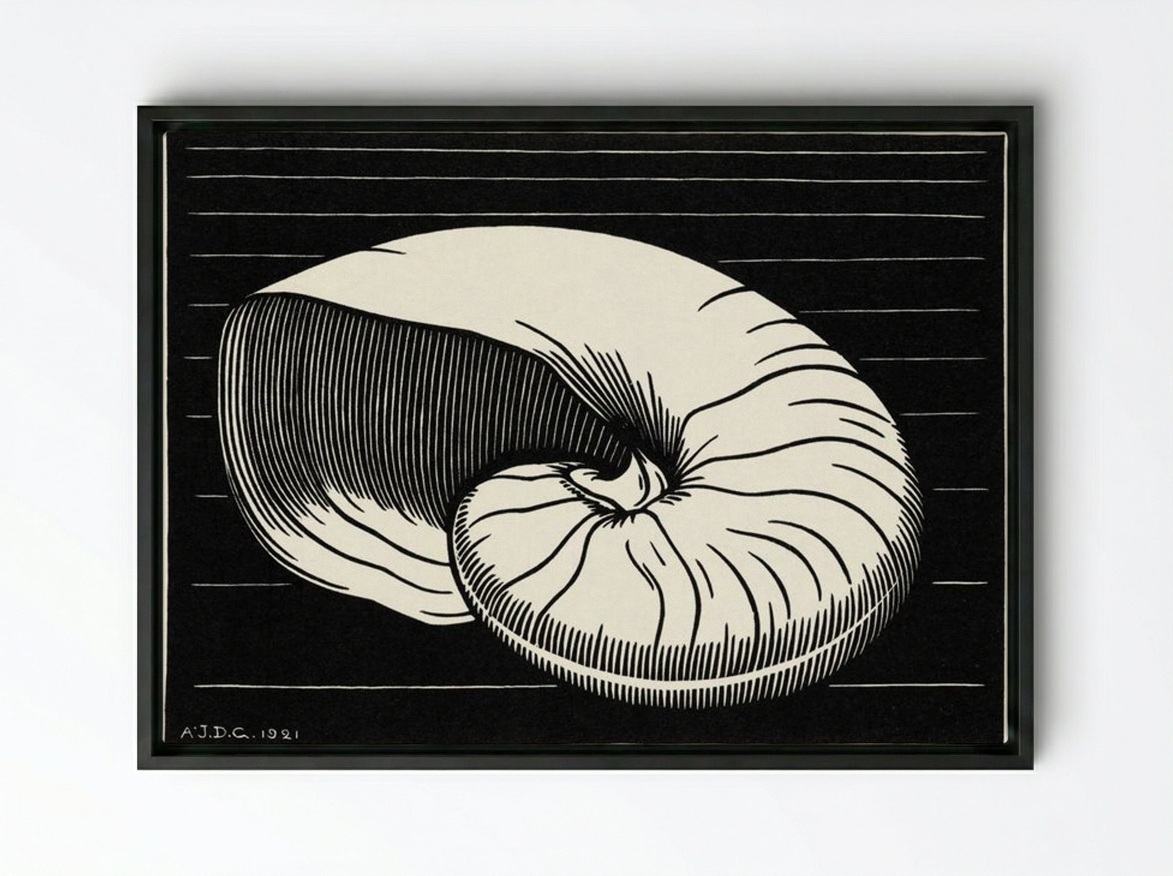 Shell - Julie de Graag - Framed Canvas Black