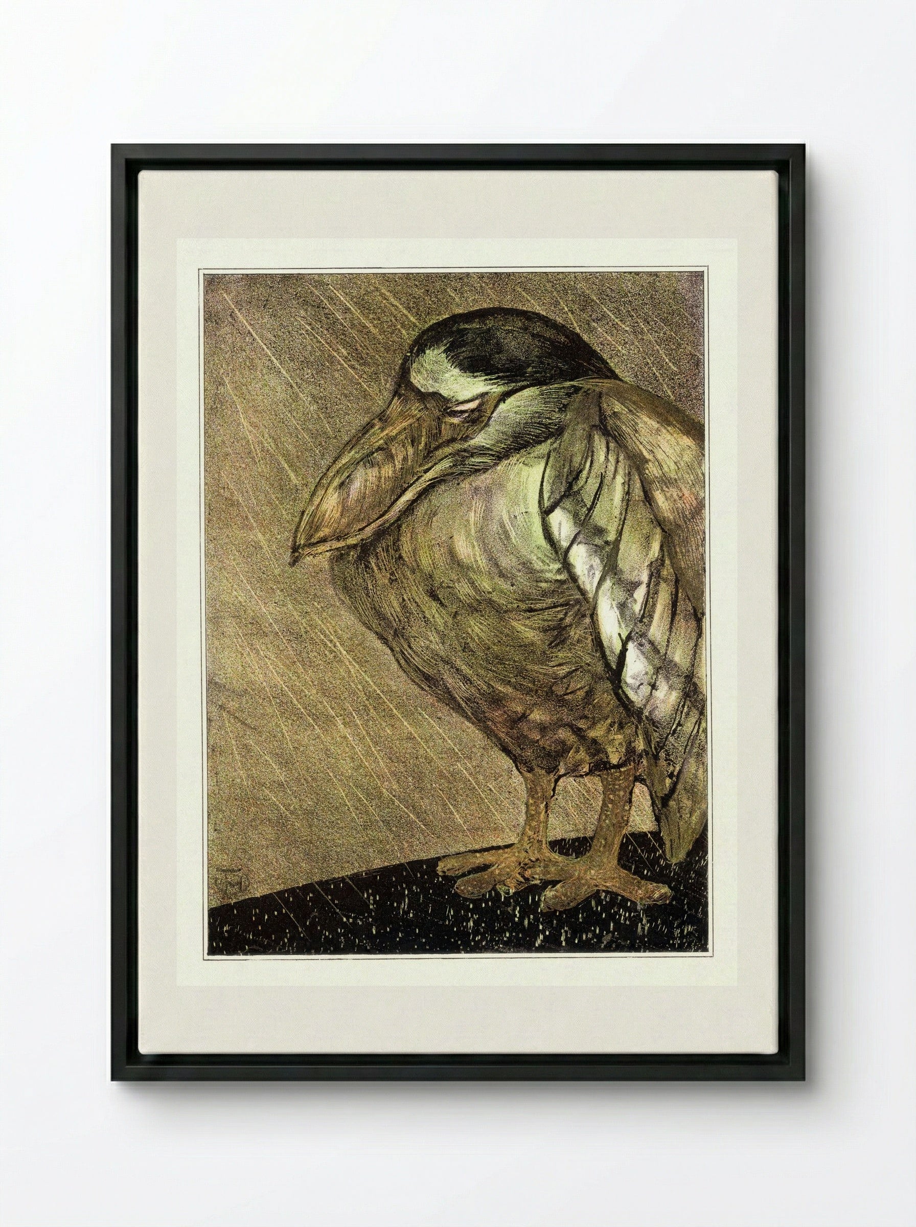 Schuitbekreiger in de regen (Night Heron in the Rain) - Theodorus van Hoytema - Framed Canvas Black