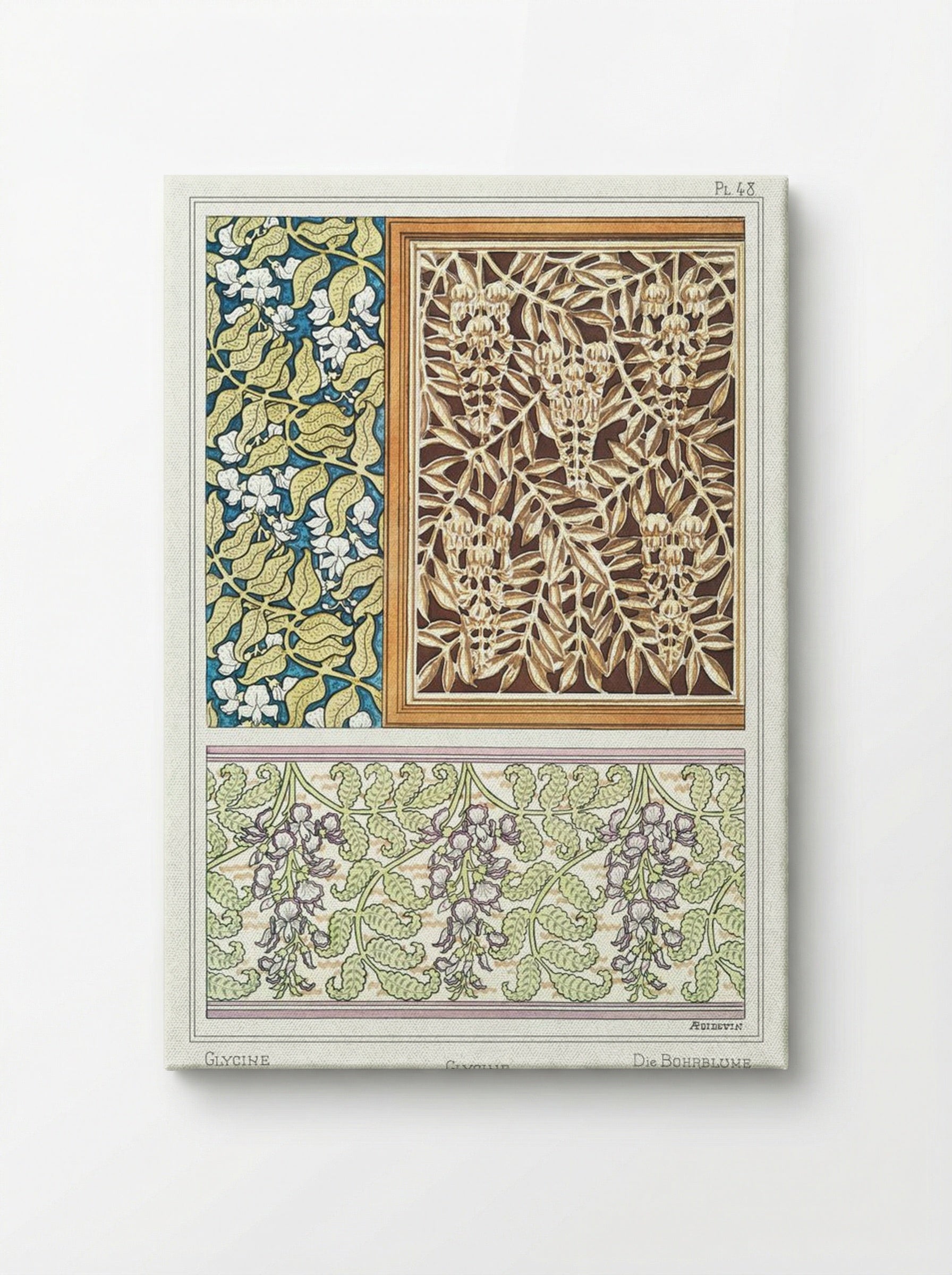 Glycine (Wisteria) from La Plante et ses Applications ornementales - Maurice Pillard Verneuil - Canvas