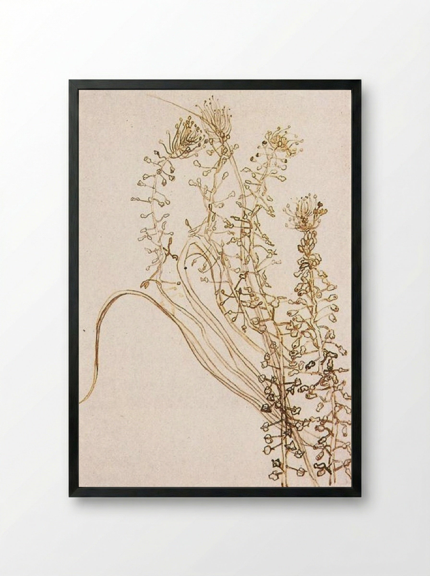 Blossoming Branches - Fine Art Print - Framed Print Black