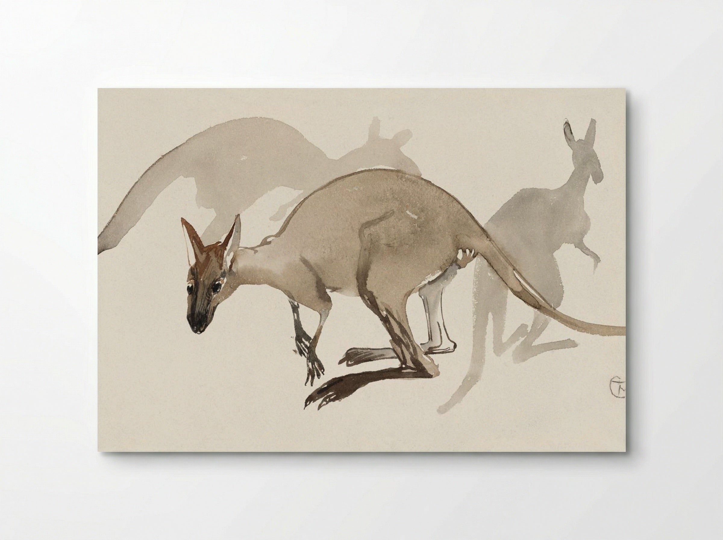 Kangaroos - Theo van Hoytema - Poster