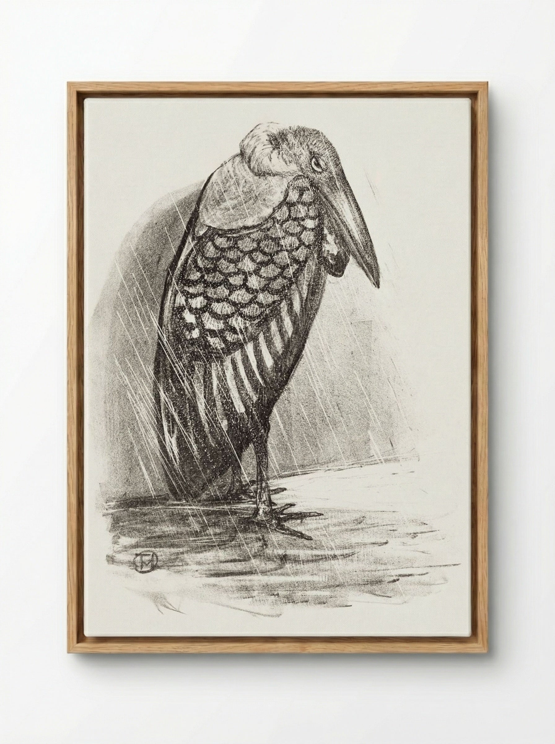 Marabou in the Rain - Theo van Hoytema - Framed Canvas Wood