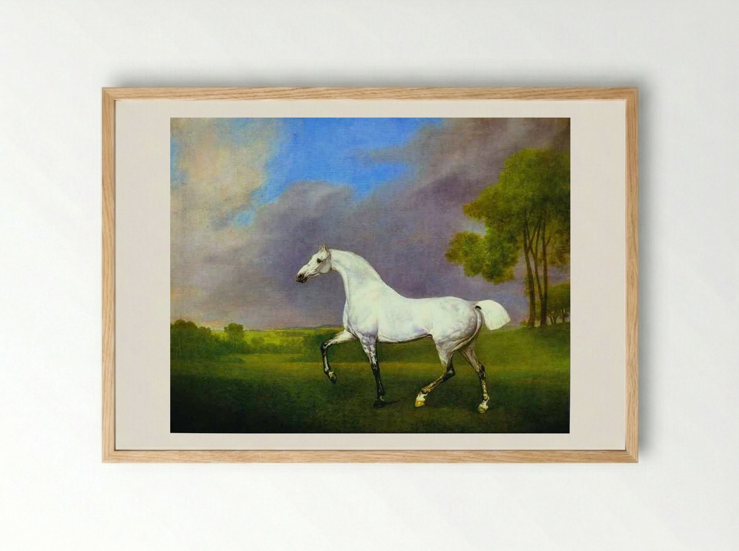 A Grey Horse - George Stubbs - Framed Print Wood