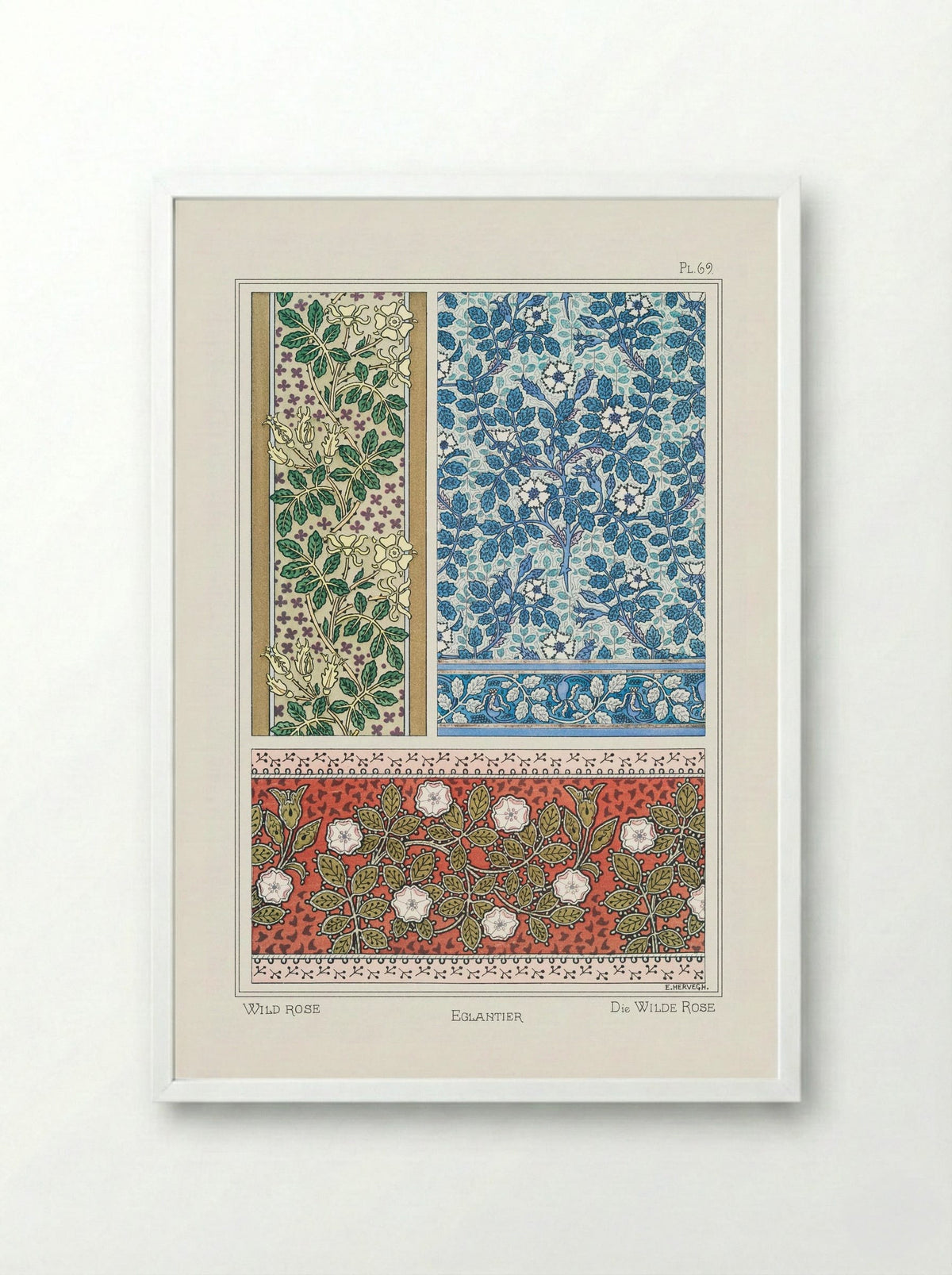 Eglantier (Wild Rose) from La Plante et ses Applications ornementales - Maurice Pillard Verneuil - Framed Print White