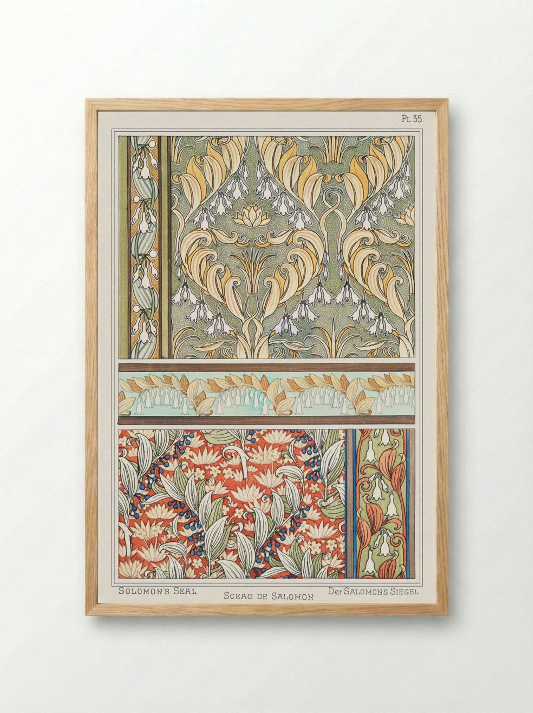 Sceau de Salomon (Solomon's Seal) from La Plante et ses Applications ornementales - Maurice Pillard Verneuil - Framed Print Wood