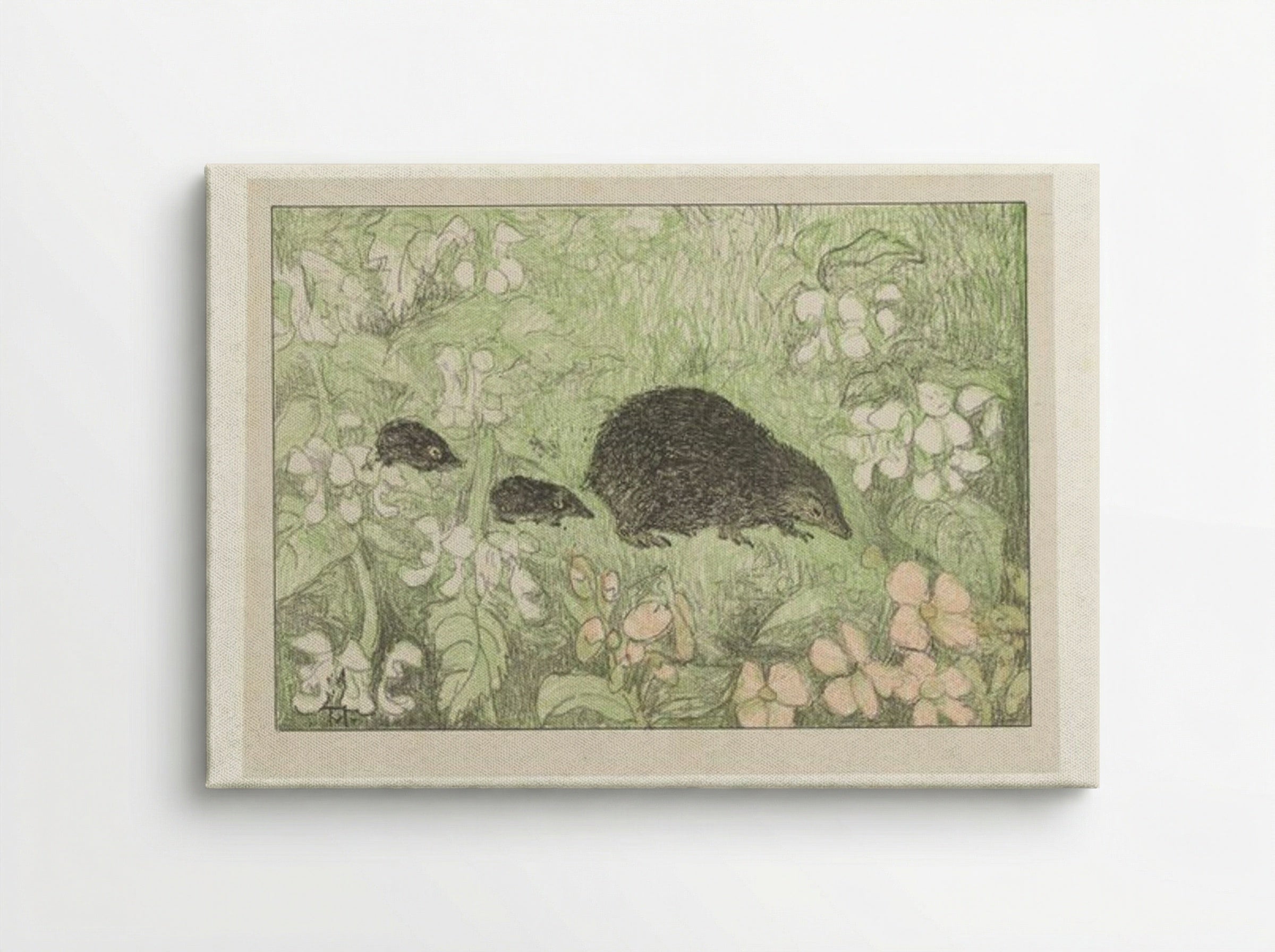 Hedgehog with Young - Theo van Hoytema - Canvas