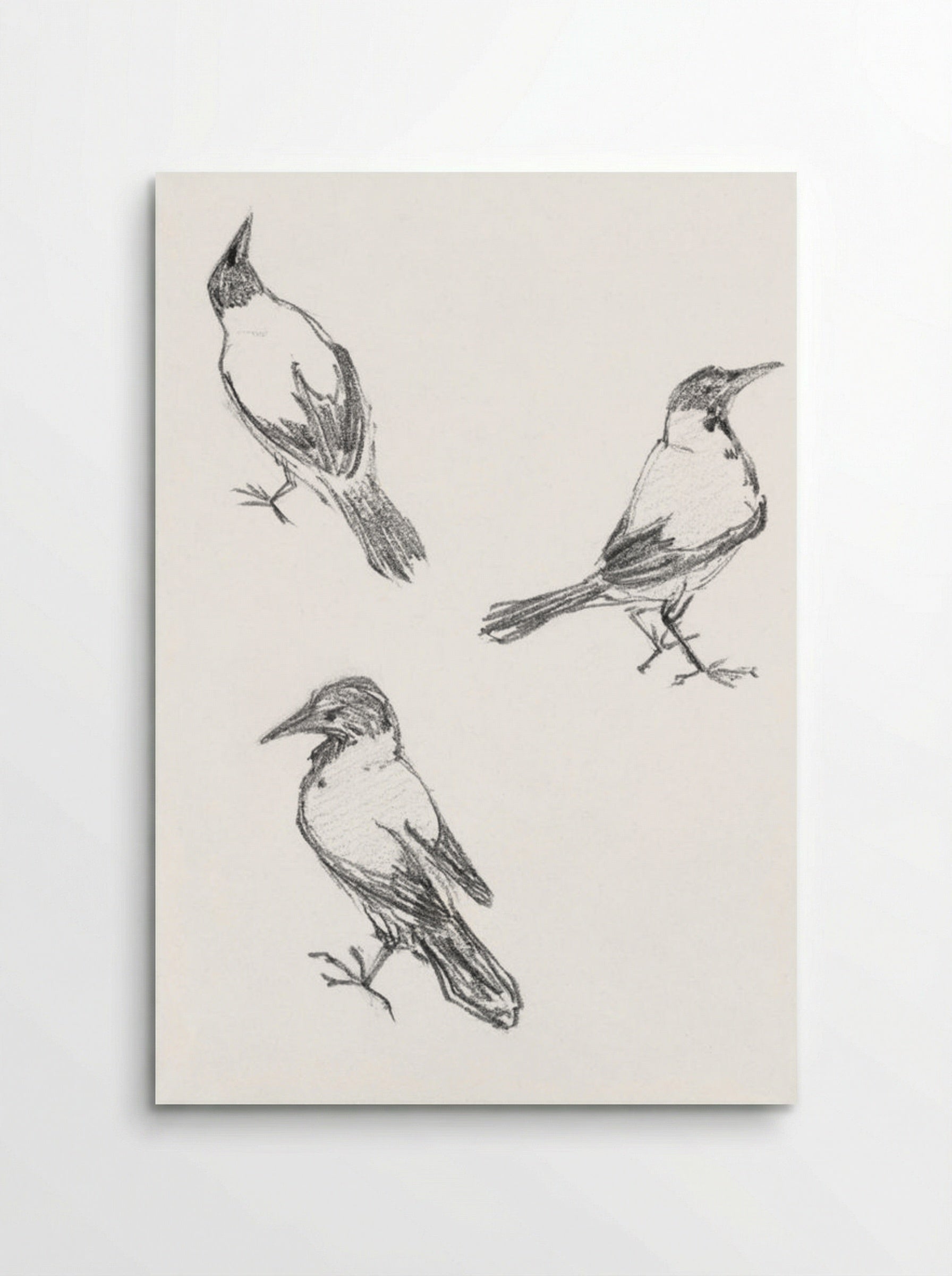 Three Sketches of a Crow - Julie de Graag - Poster
