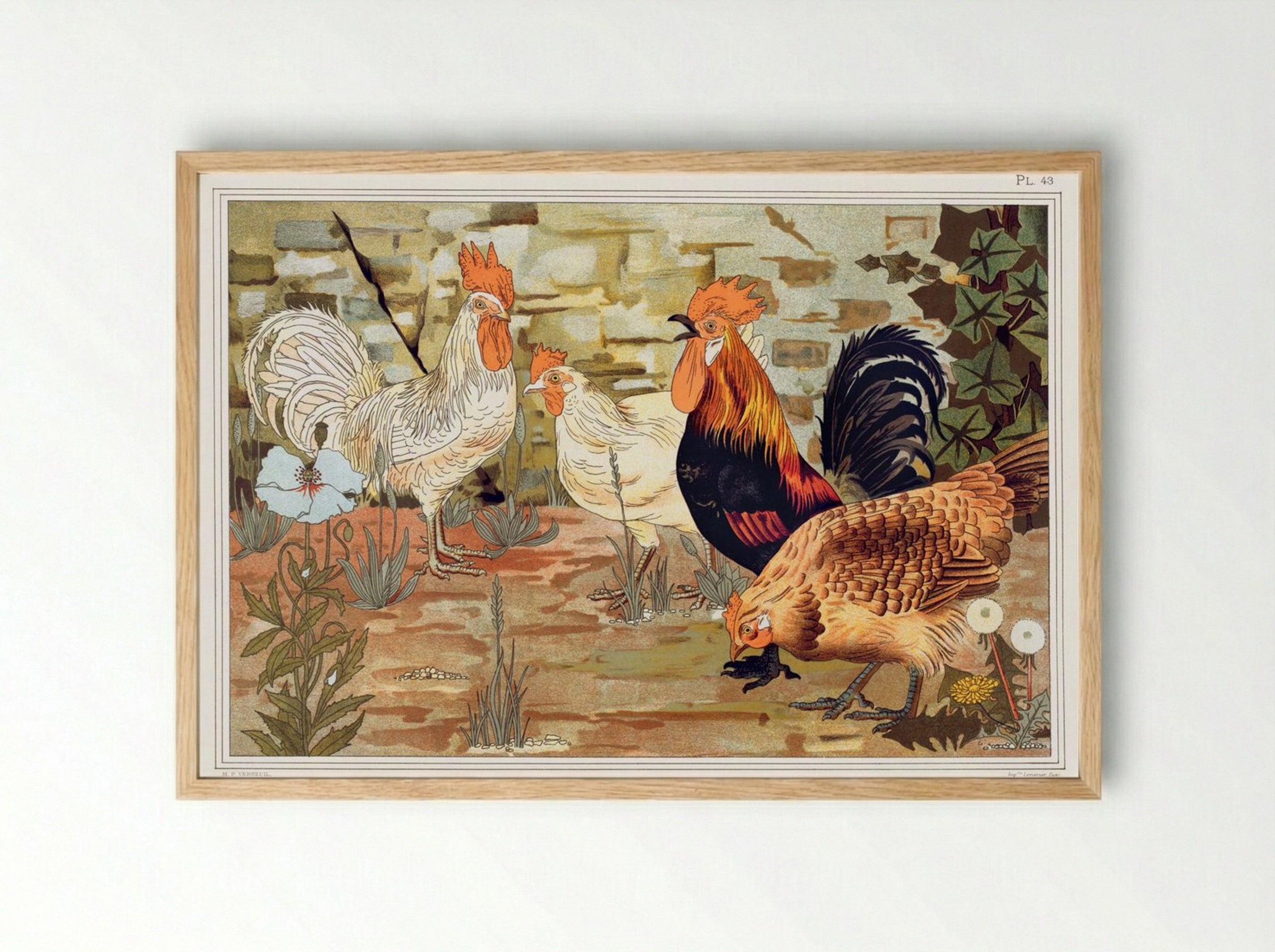 Coqs et Poules (From L'animal dans la décoration) - Maurice Pillard Verneuil - Framed Print Wood